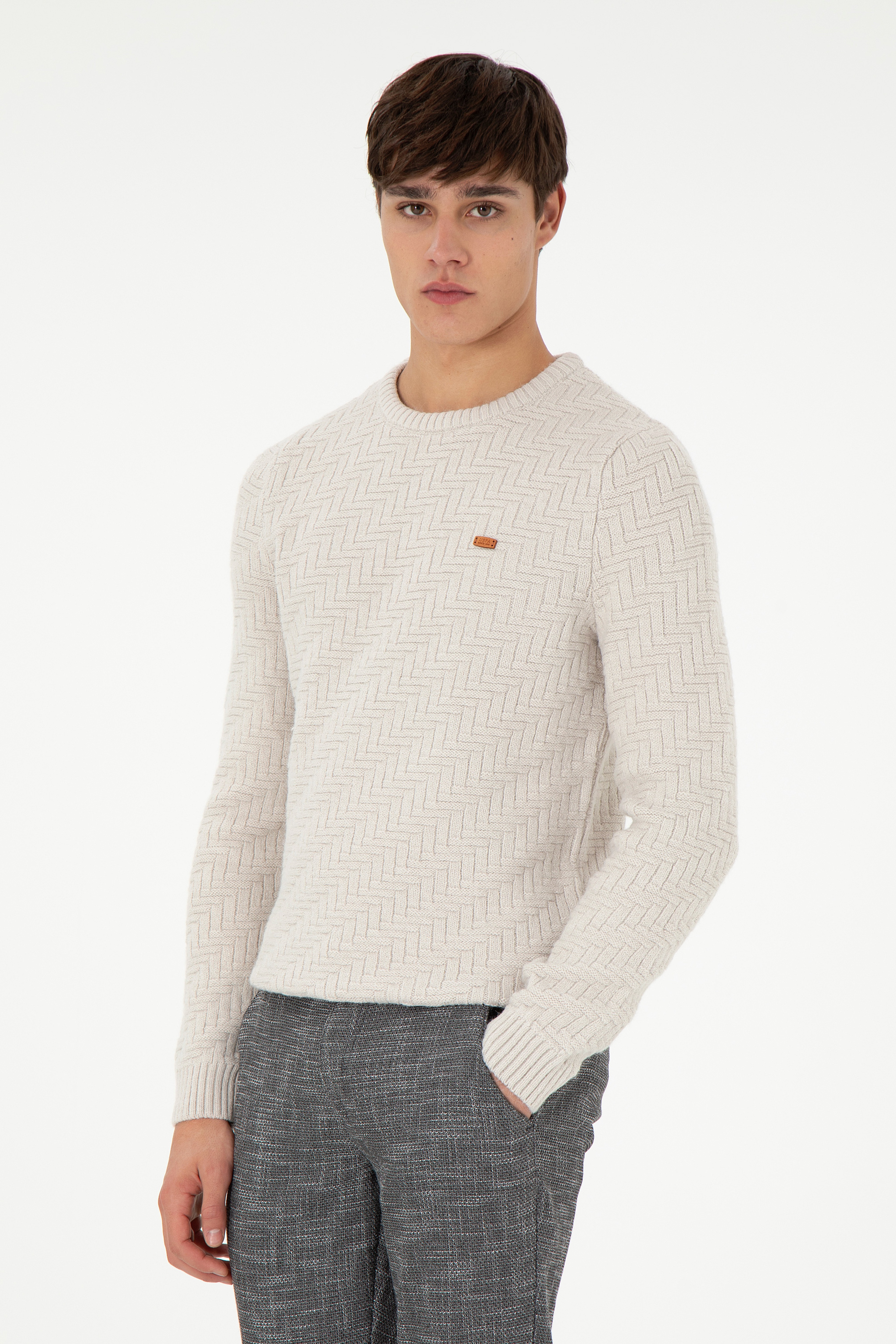 Erkek Slim Fit Bisiklet Yaka Taş Kazak - Image 1