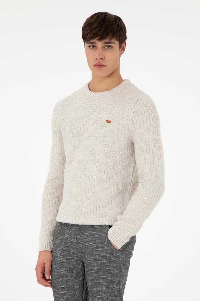 Erkek Slim Fit Bisiklet Yaka Taş Kazak