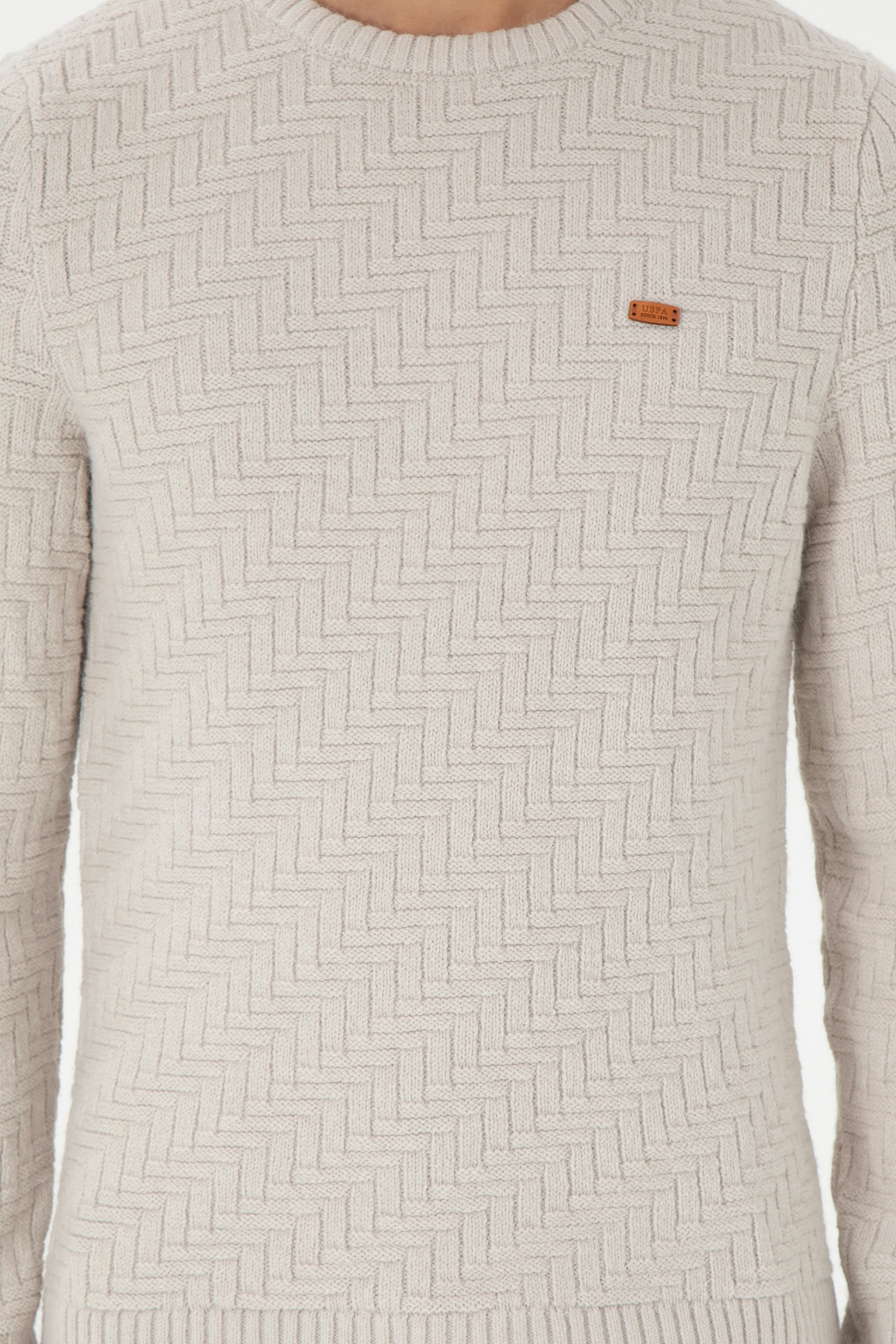 Erkek Slim Fit Bisiklet Yaka Taş Kazak