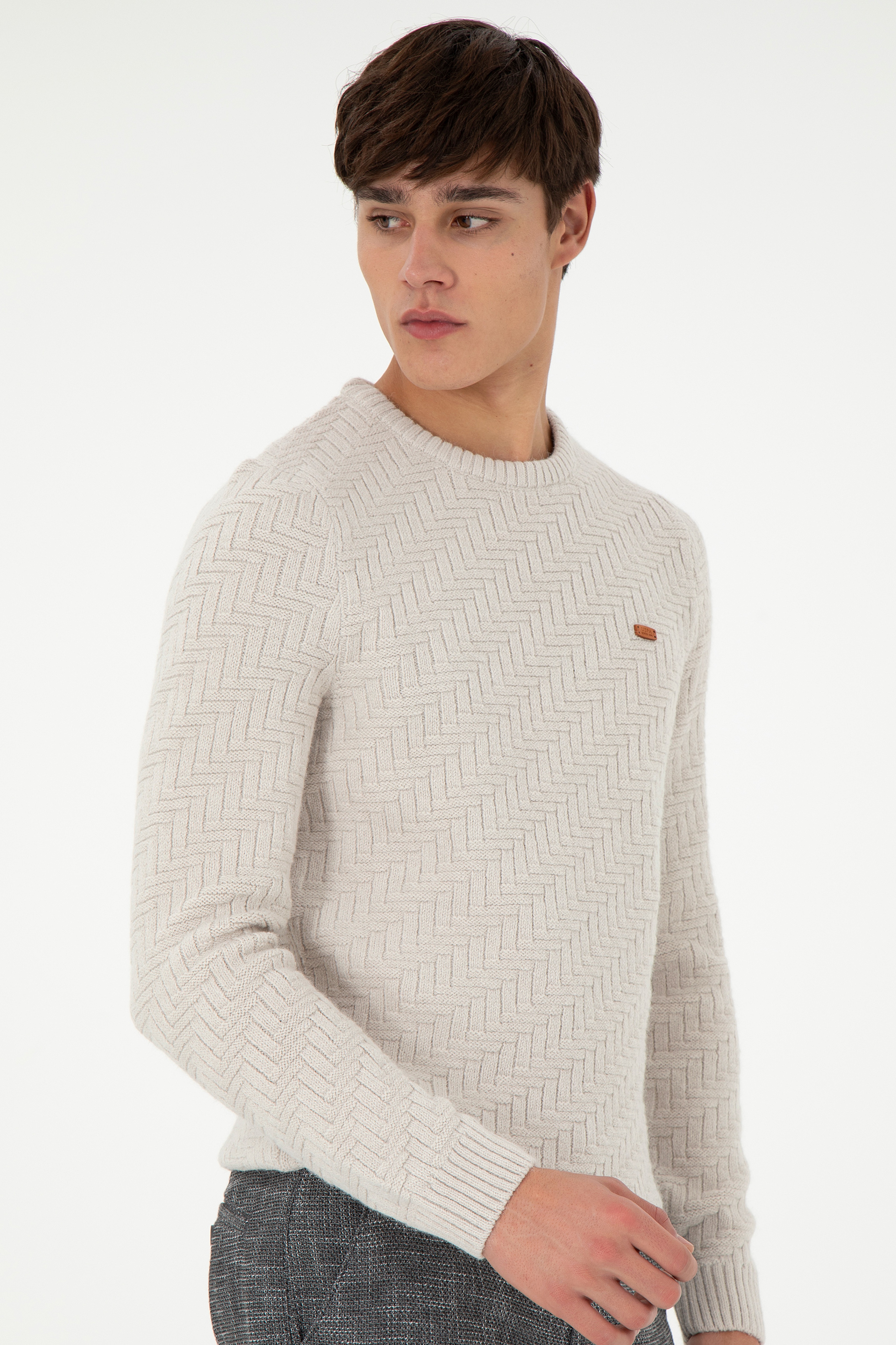 Erkek Slim Fit Bisiklet Yaka Taş Kazak