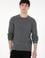 Erkek Regular Fit Bisiklet Yaka Gri Melanj Kazak