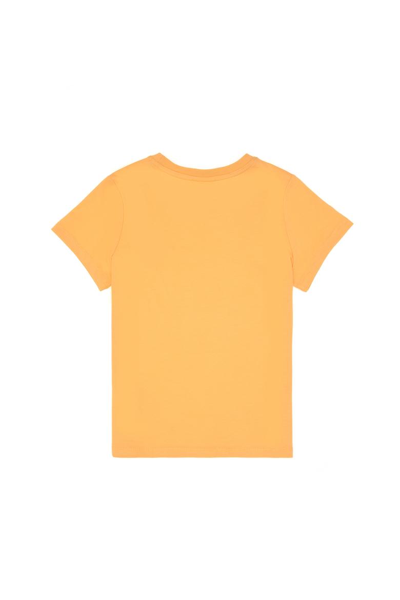 Erkek Çocuk Kavun Basic Bisiklet Yaka Tişört - 50306502074