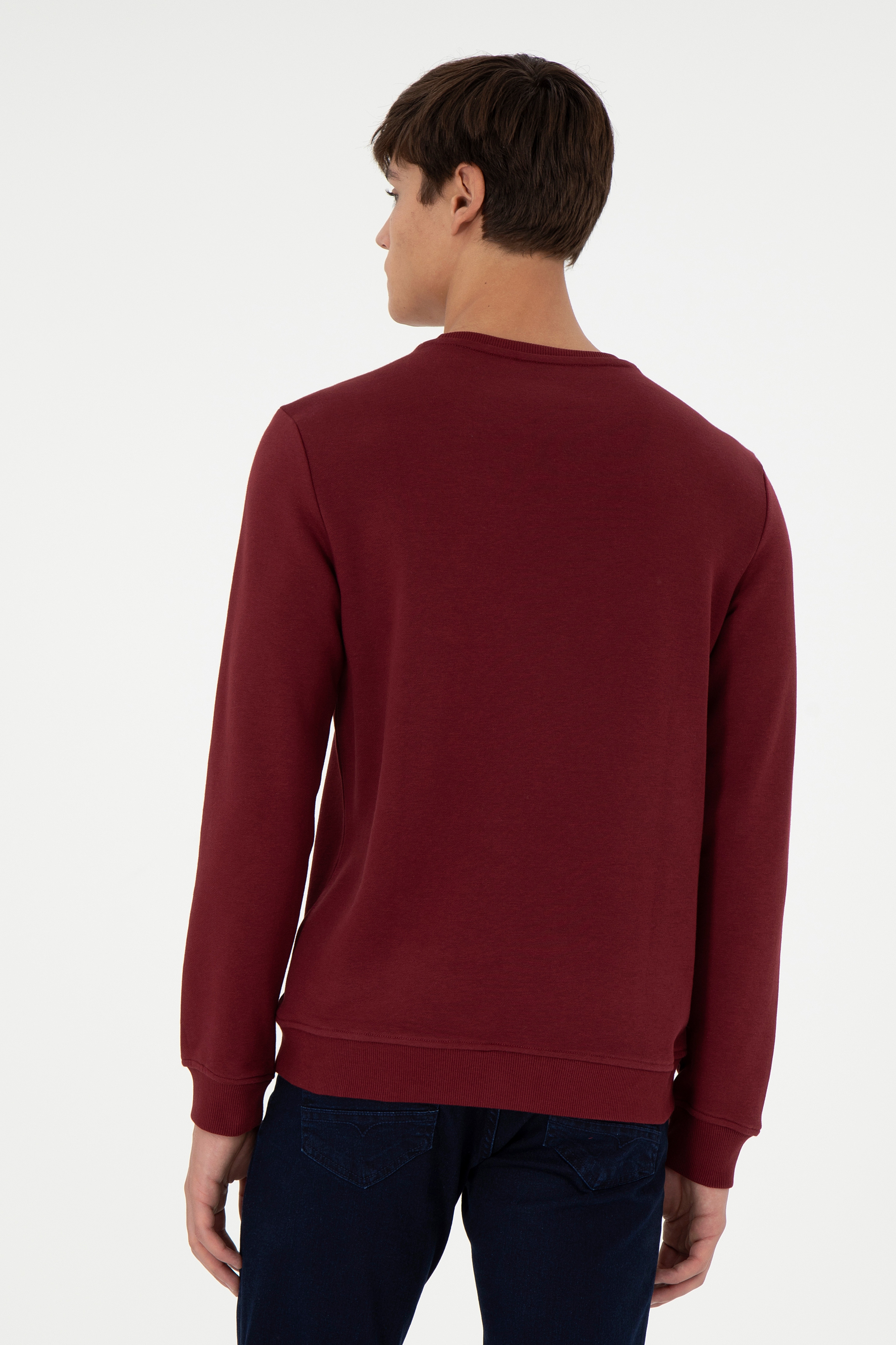 Erkek Regular Fit Bisiklet Yaka Bordo Sweatshirt - Image 5