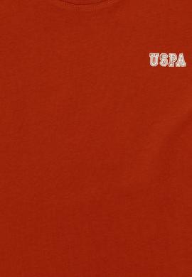 Erkek Çocuk Kiremit Bisiklet Yaka Tişört - 50298086027