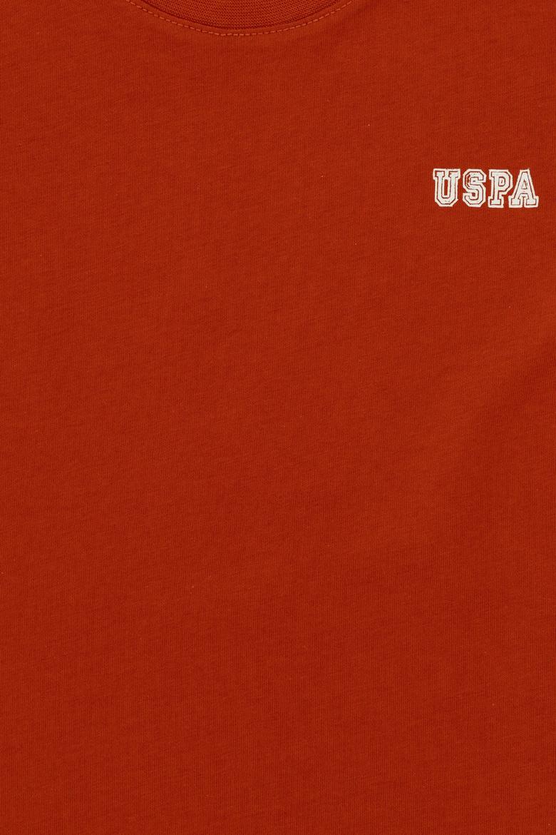 Erkek Çocuk Kiremit Bisiklet Yaka Tişört - 50298086027