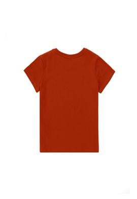 Erkek Çocuk Kiremit Bisiklet Yaka Tişört - 50298086027