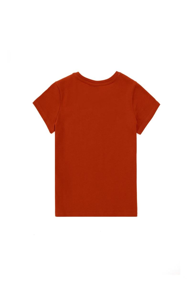 Erkek Çocuk Kiremit Bisiklet Yaka Tişört