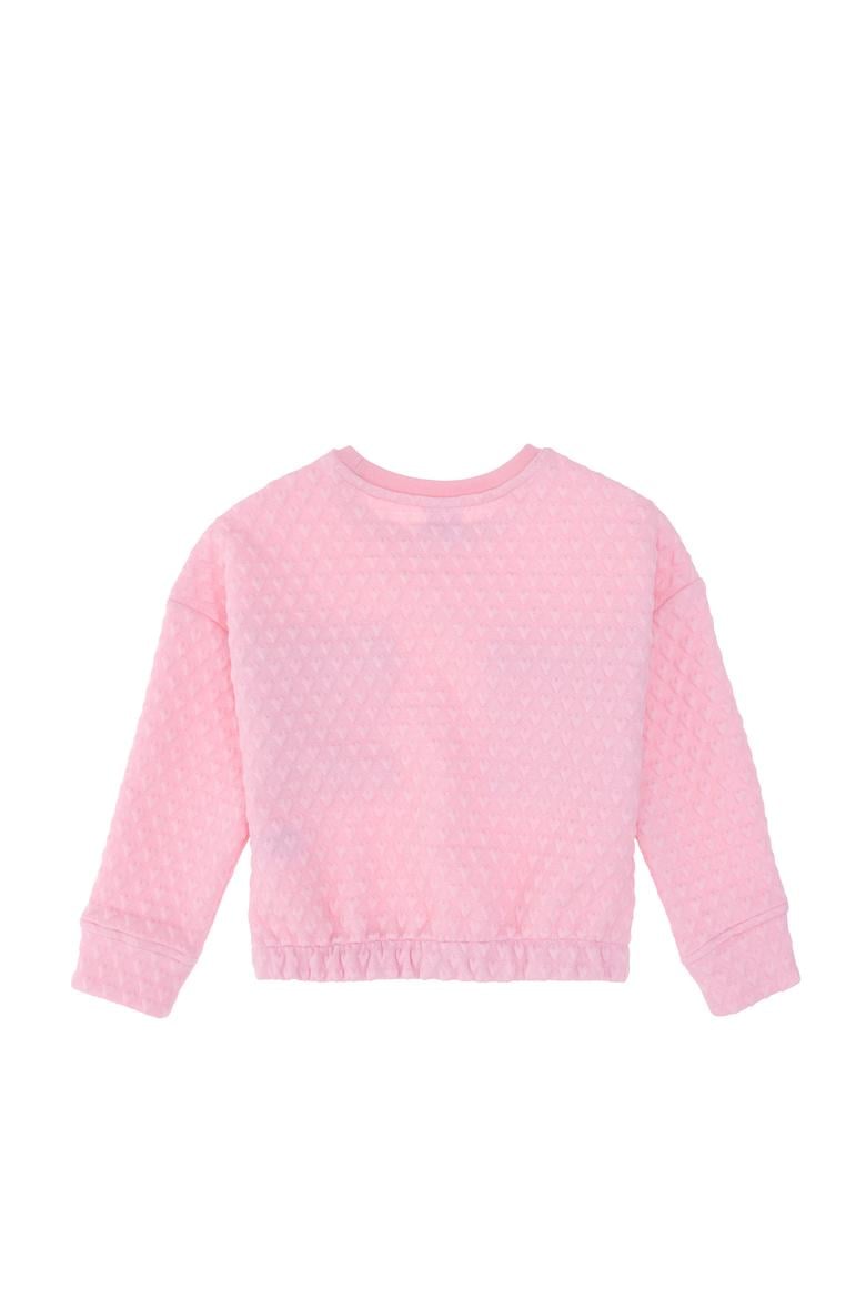 Kız Çocuk Pembe Sweatshirt - 50290726002
