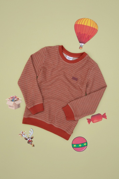 Erkek Çocuk Kiremit Sweatshirt