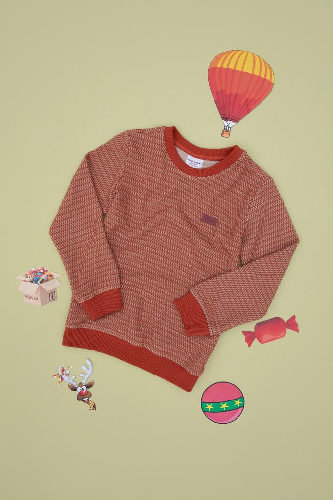 Erkek Çocuk Kiremit Sweatshirt