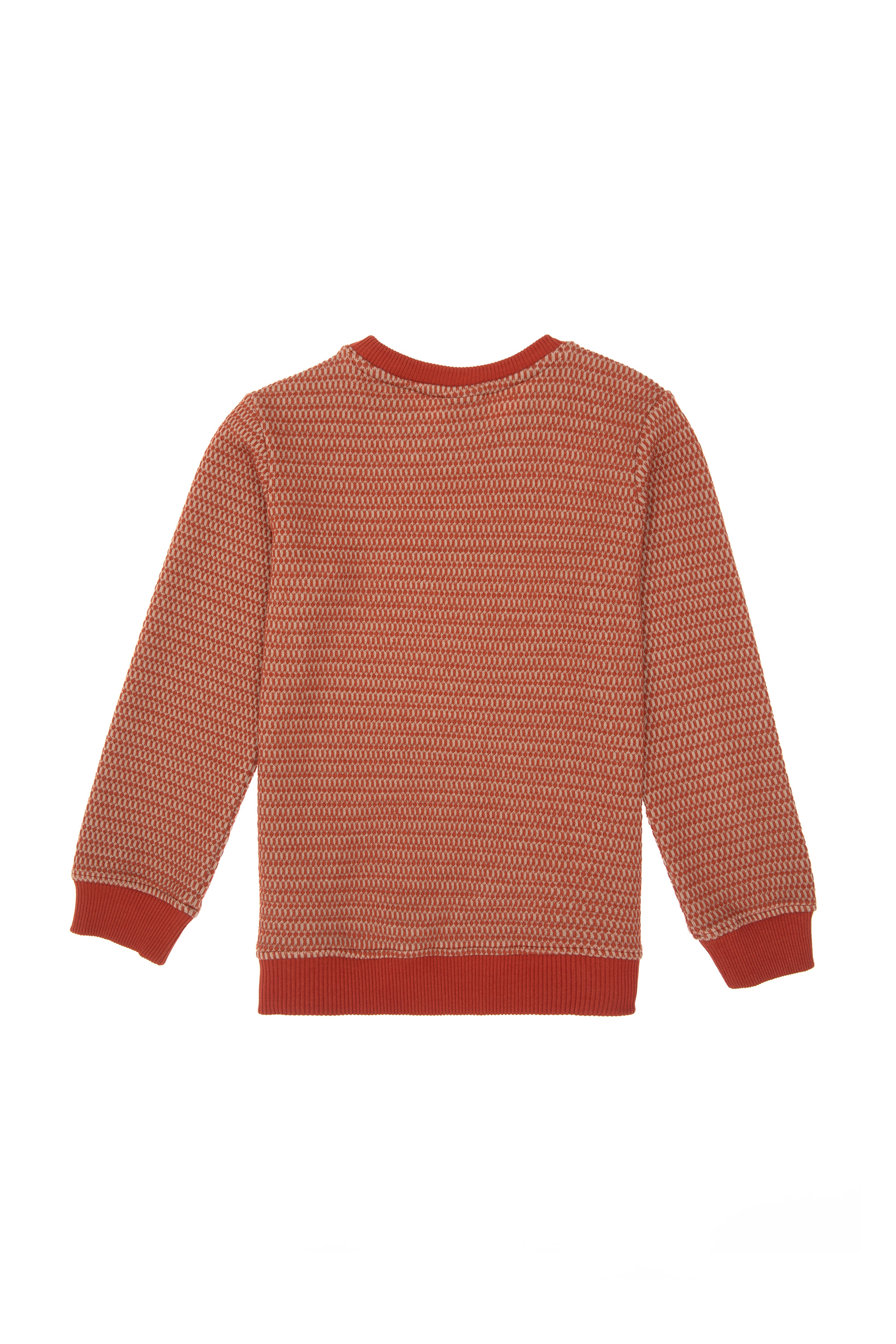 Erkek Çocuk Kiremit Sweatshirt - Image 3