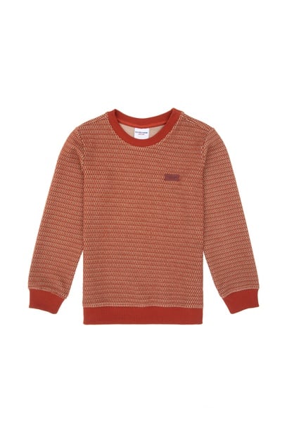 Erkek Çocuk Kiremit Sweatshirt