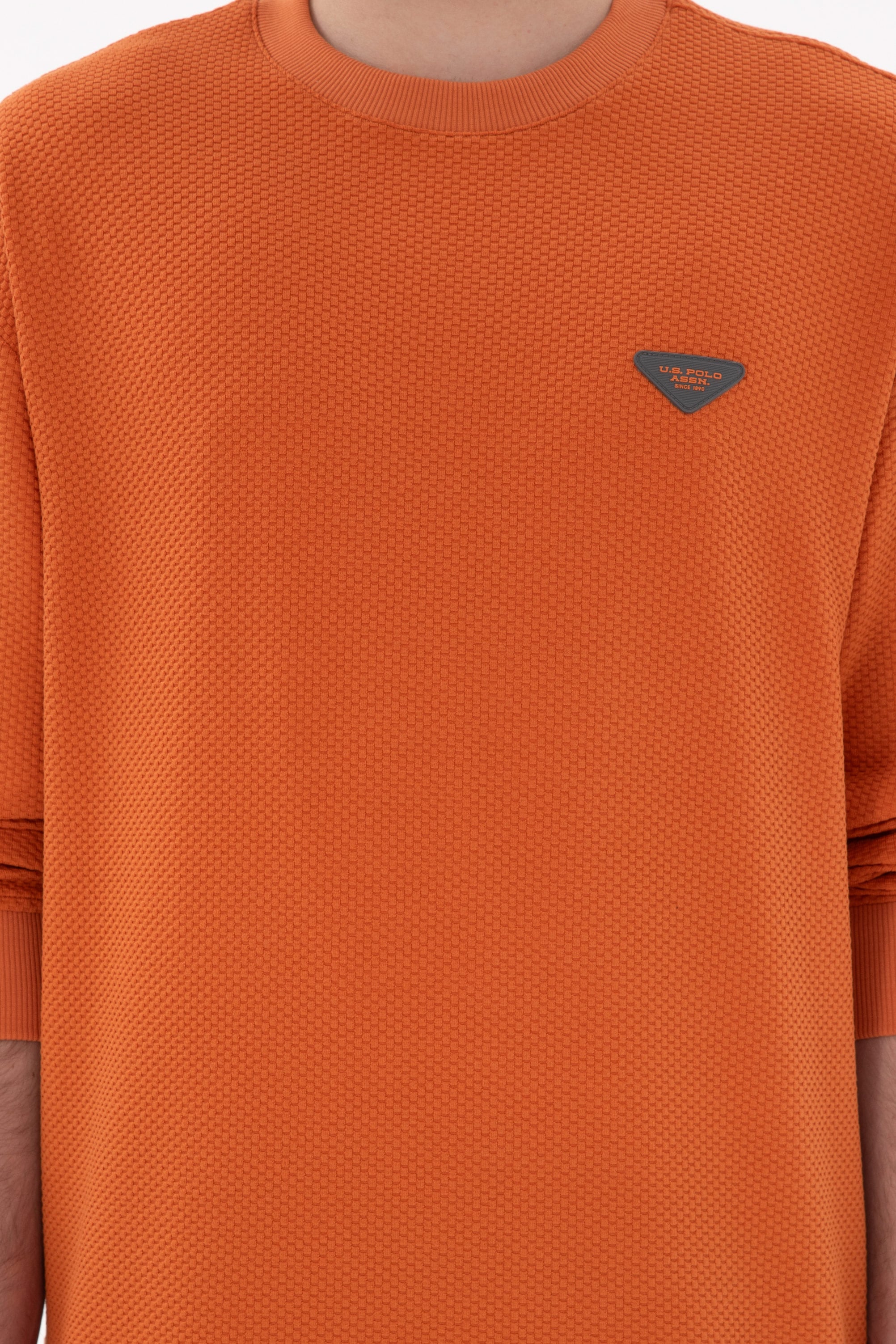 Erkek Comfort Fit Bisiklet Yaka Tarçın Sweatshirt