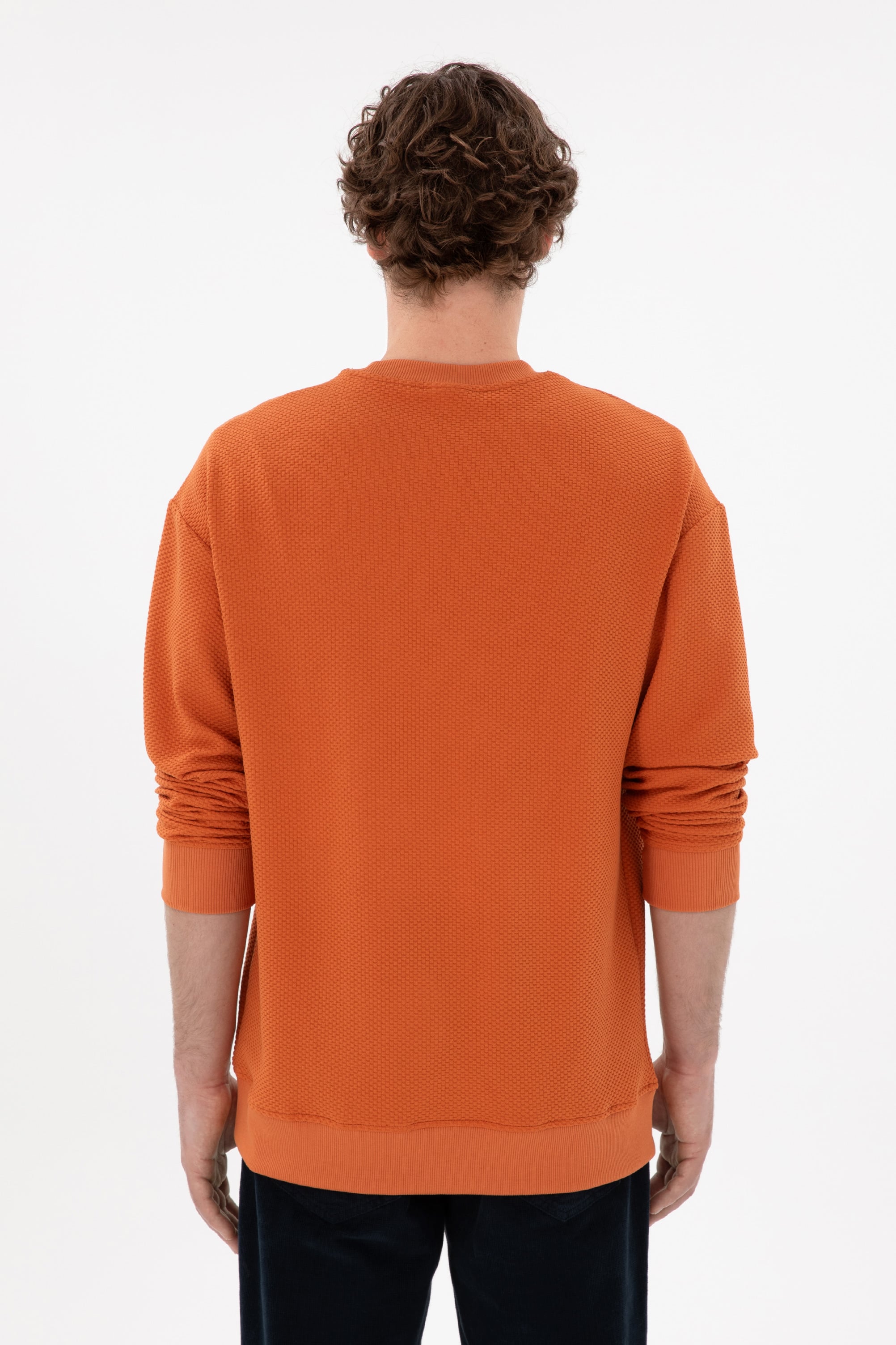 Erkek Comfort Fit Bisiklet Yaka Tarçın Sweatshirt - Image 5