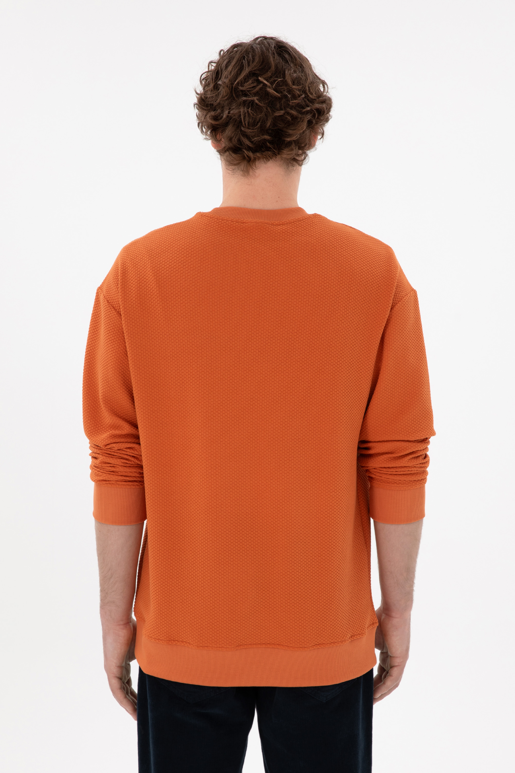 Erkek Comfort Fit Bisiklet Yaka Tarçın Sweatshirt