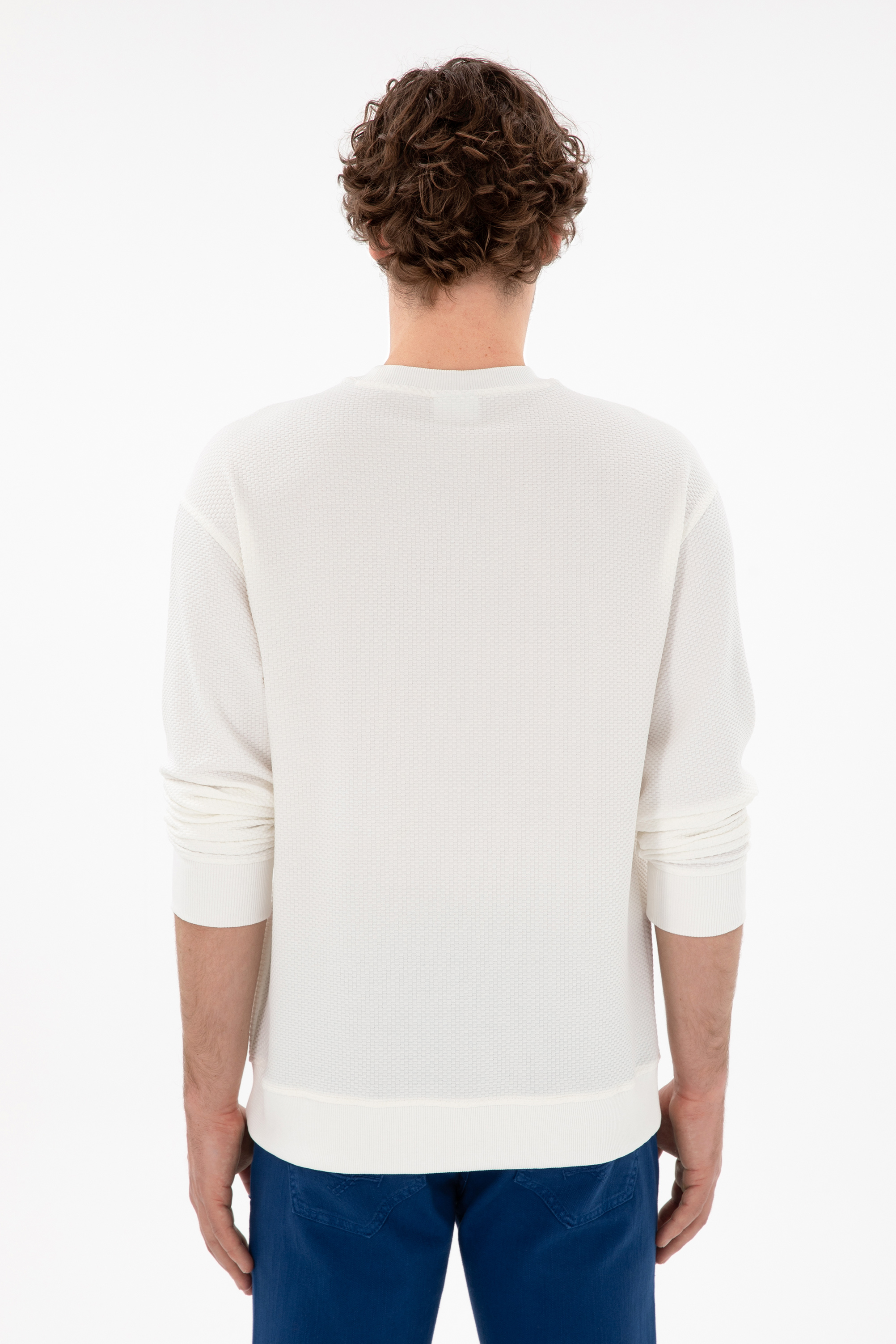 Erkek Comfort Fit Bisiklet Yaka Krem Sweatshirt - Image 5