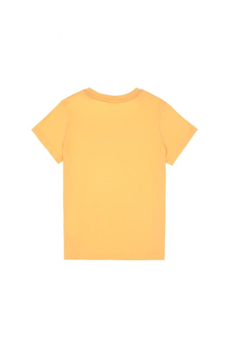 Erkek Çocuk Kavun Basic Bisiklet Yaka Tişört - 50306483064