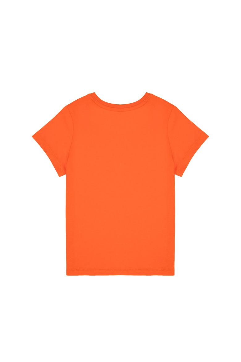 Erkek Çocuk Nar Çiçeği Basic Bisiklet Yaka Tişört - 50306502092