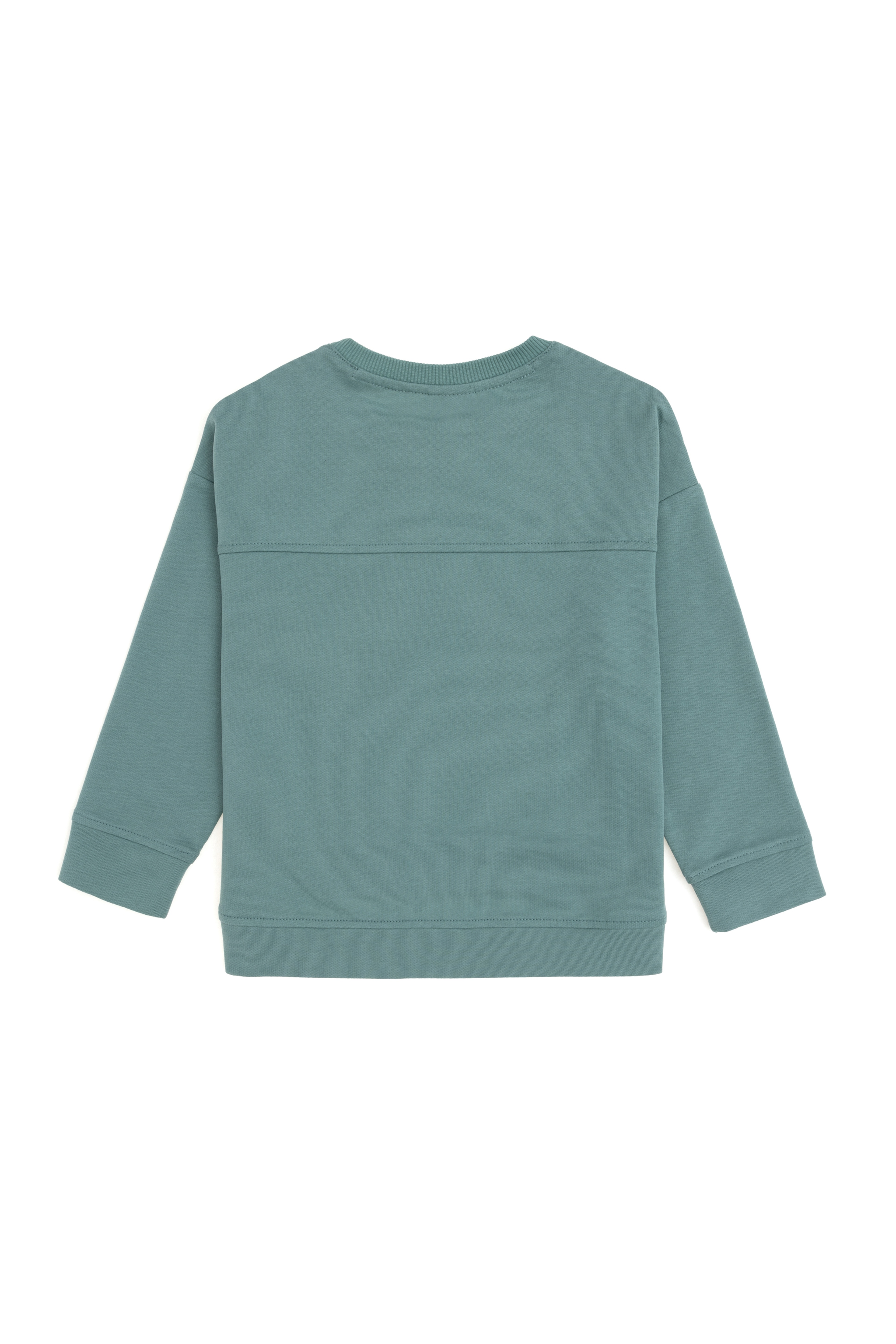 Kız Çocuk Mint Bisiklet Yaka Sweatshirt