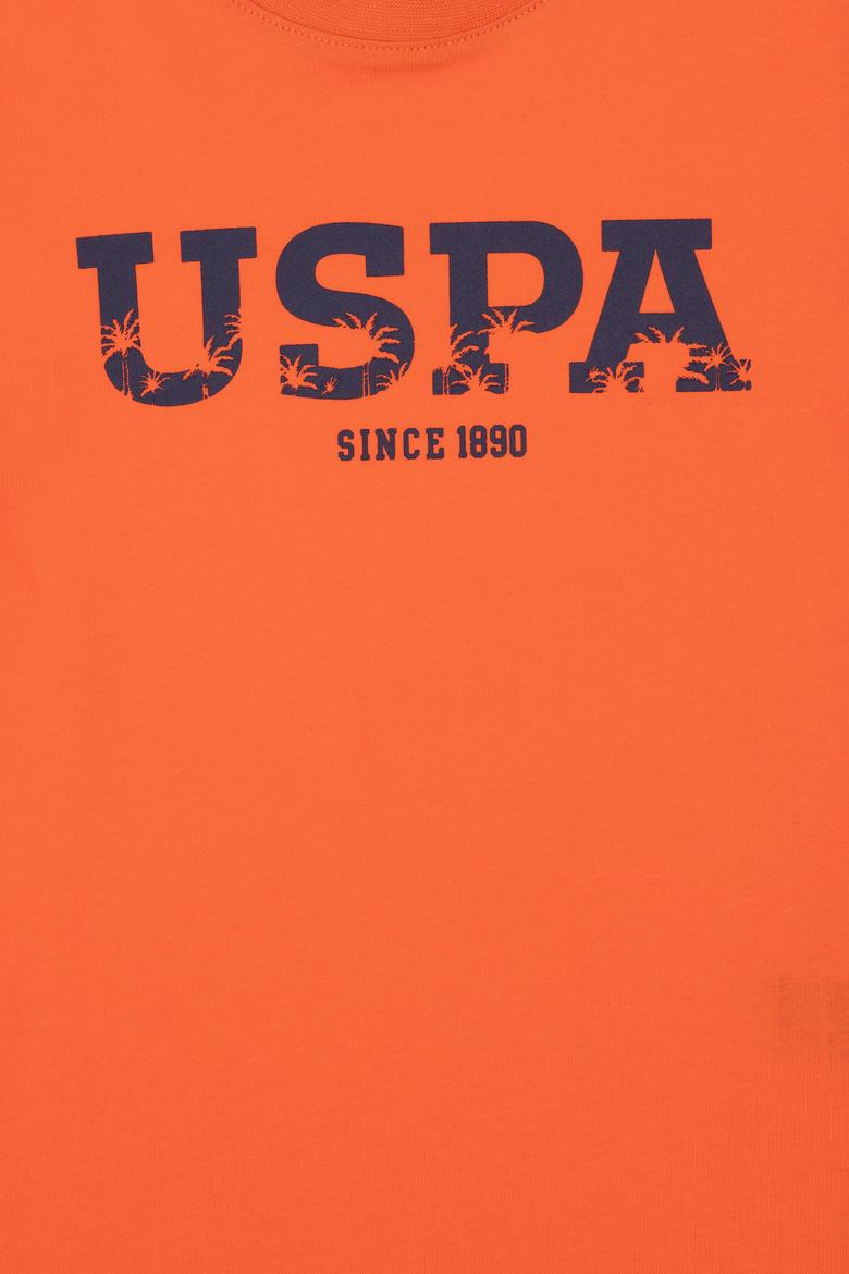 Erkek Çocuk Nar Çiçeği Basic Bisiklet Yaka Tişört - 50306512046