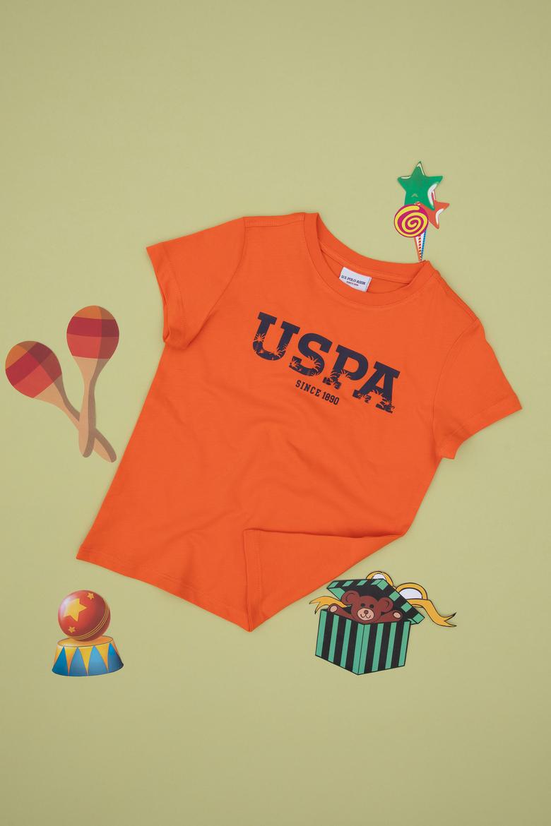 Erkek Çocuk Nar Çiçeği Basic Bisiklet Yaka Tişört