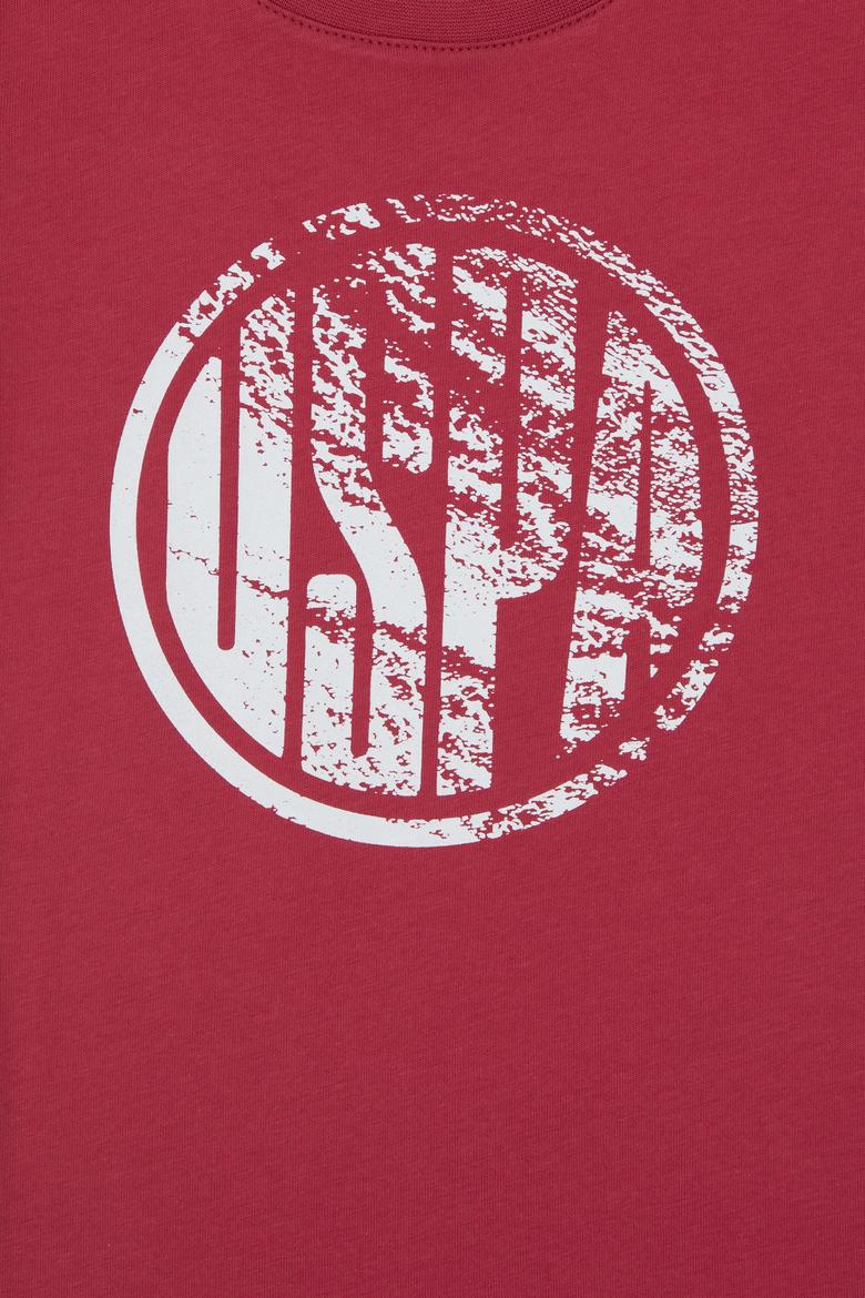 Erkek Çocuk Vişne Basic Bisiklet Yaka Tişört - 50306514135