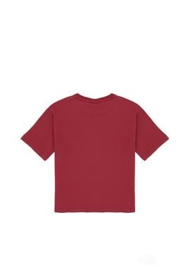 Erkek Çocuk Vişne Comfort Basic Bisiklet Yaka Tişört - 50306513045