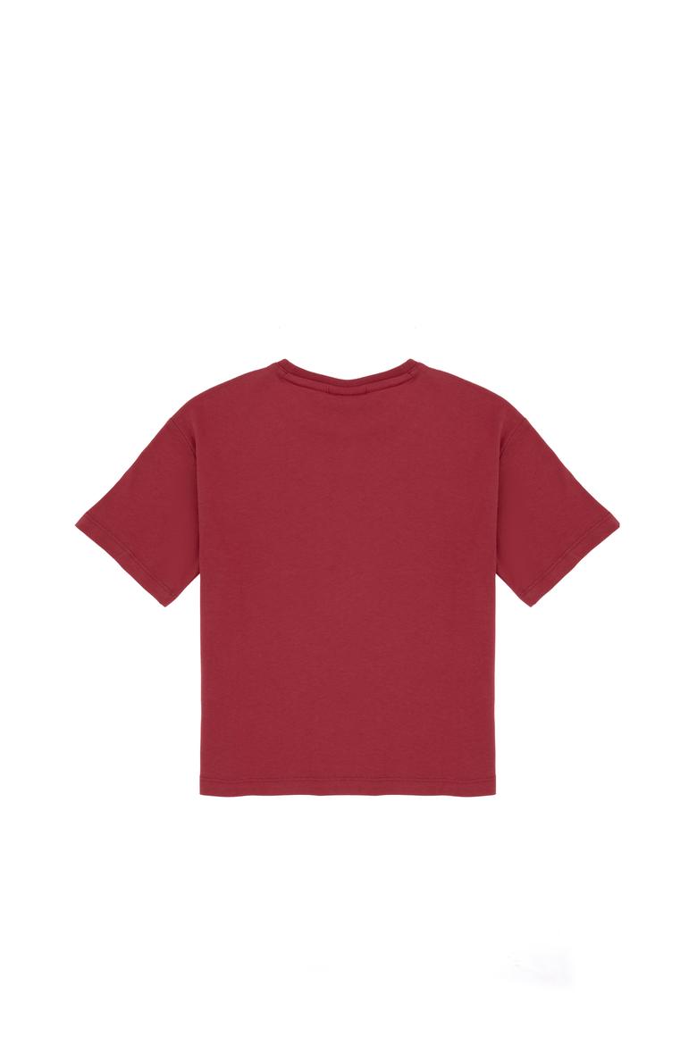 Erkek Çocuk Vişne Comfort Basic Bisiklet Yaka Tişört - 50306513045