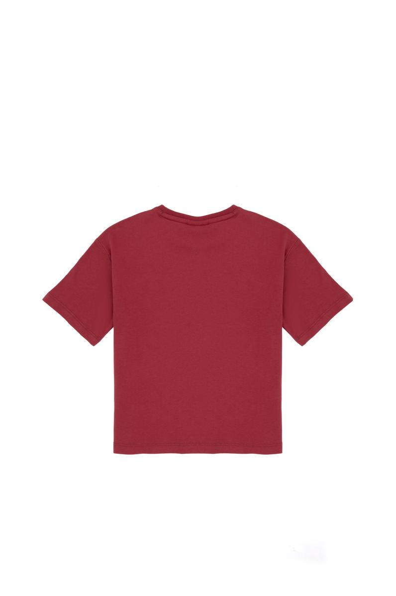 Erkek Çocuk Vişne Comfort Basic Bisiklet Yaka Tişört