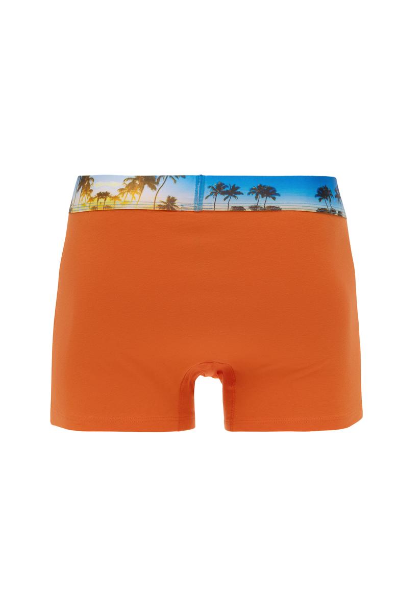 Erkek 3'lü Boxer Takımı - 50310676005