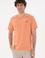 Erkek Somon Basic Tişört
