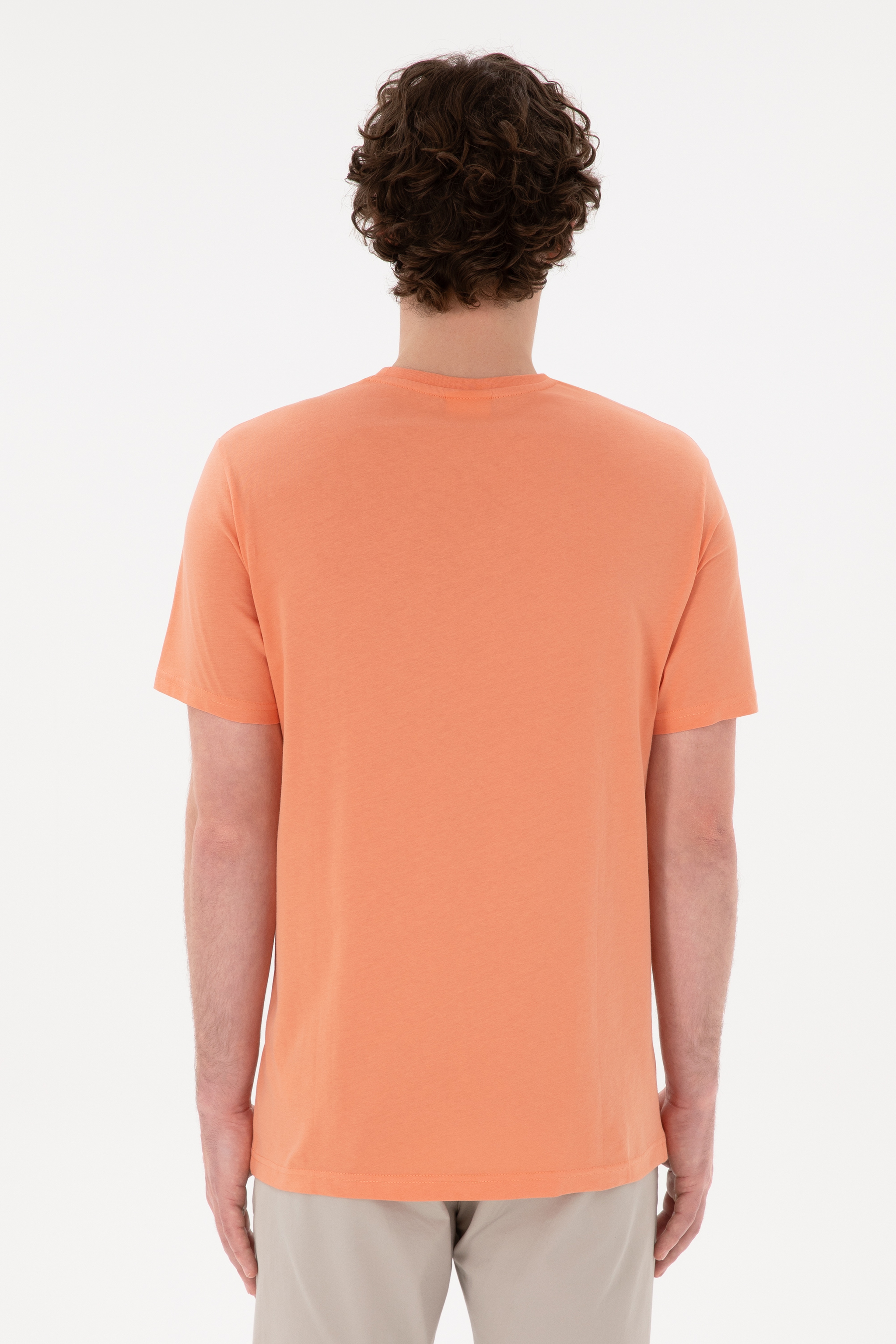 Erkek Regular Fit Bisiklet Yaka Somon Basic Tişört - Image 5