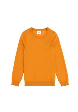 Erkek Çocuk Hardal Basic Kazak - 50288893112