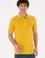 Erkek Regular Fit Polo Yaka Safran Basic Tişört