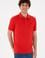 Erkek Kırmızı Basic Tişört