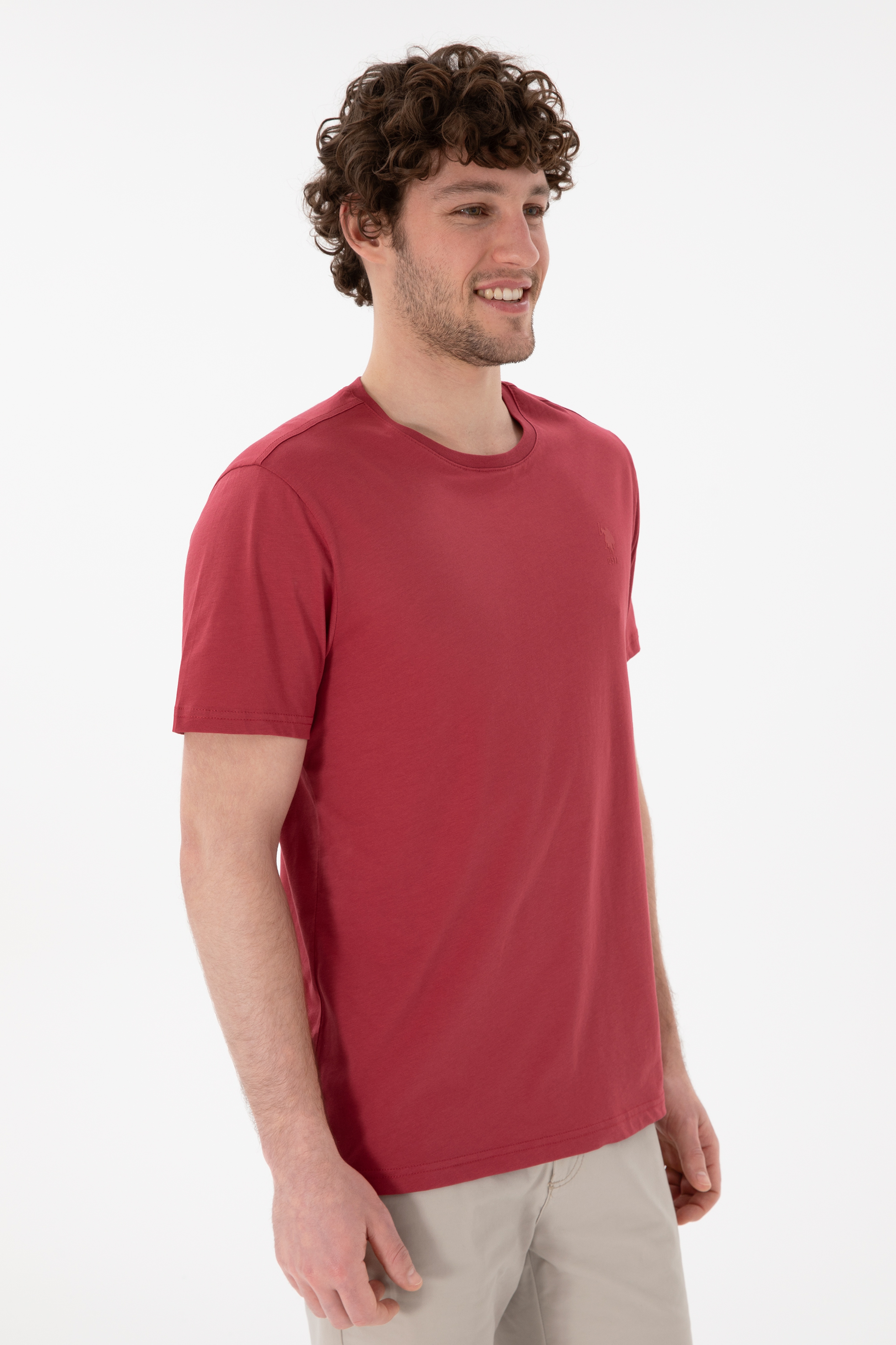 Erkek Regular Fit Bisiklet Yaka Vişne Basic Tişört - Image 4