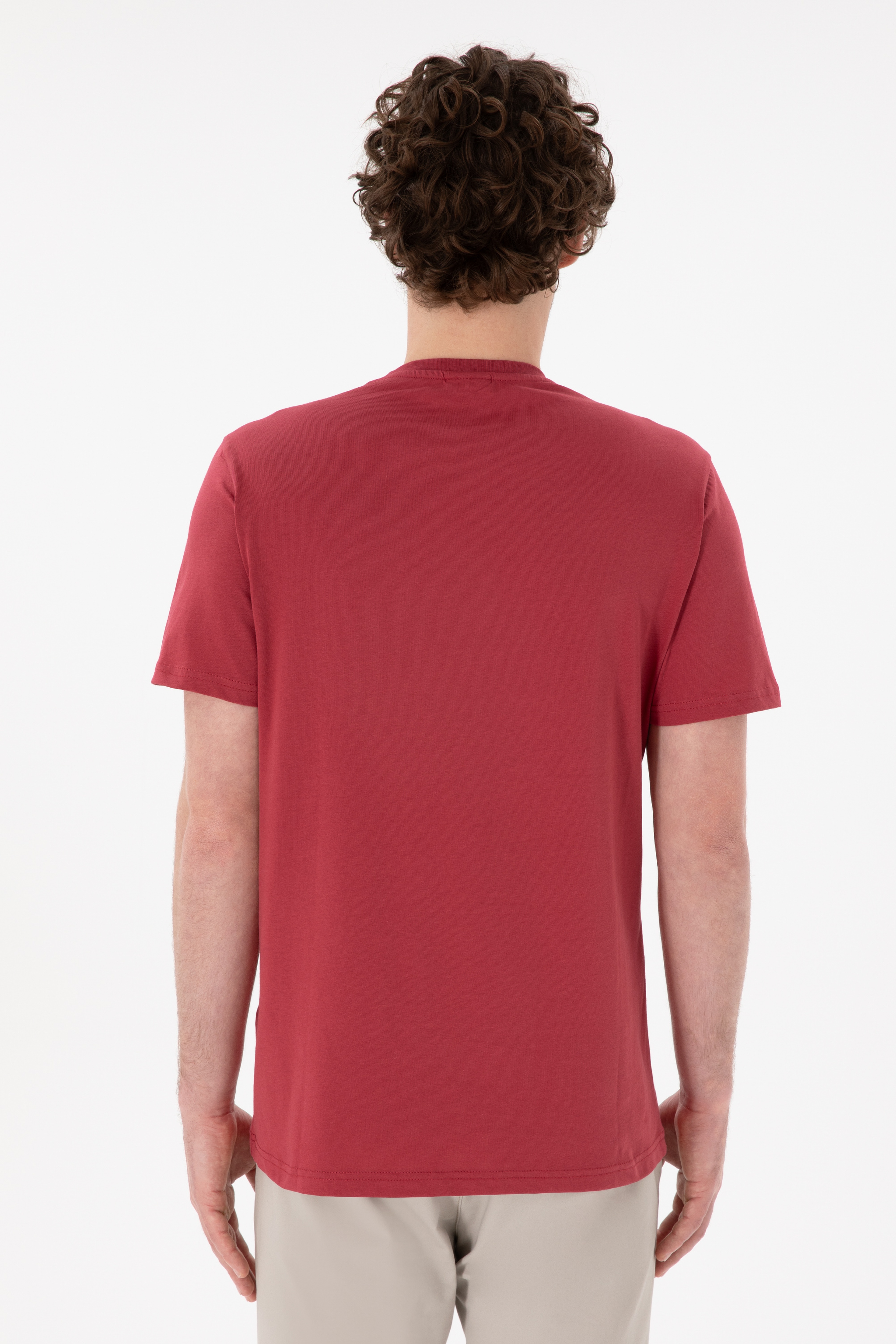 Erkek Regular Fit Bisiklet Yaka Vişne Basic Tişört - Image 6