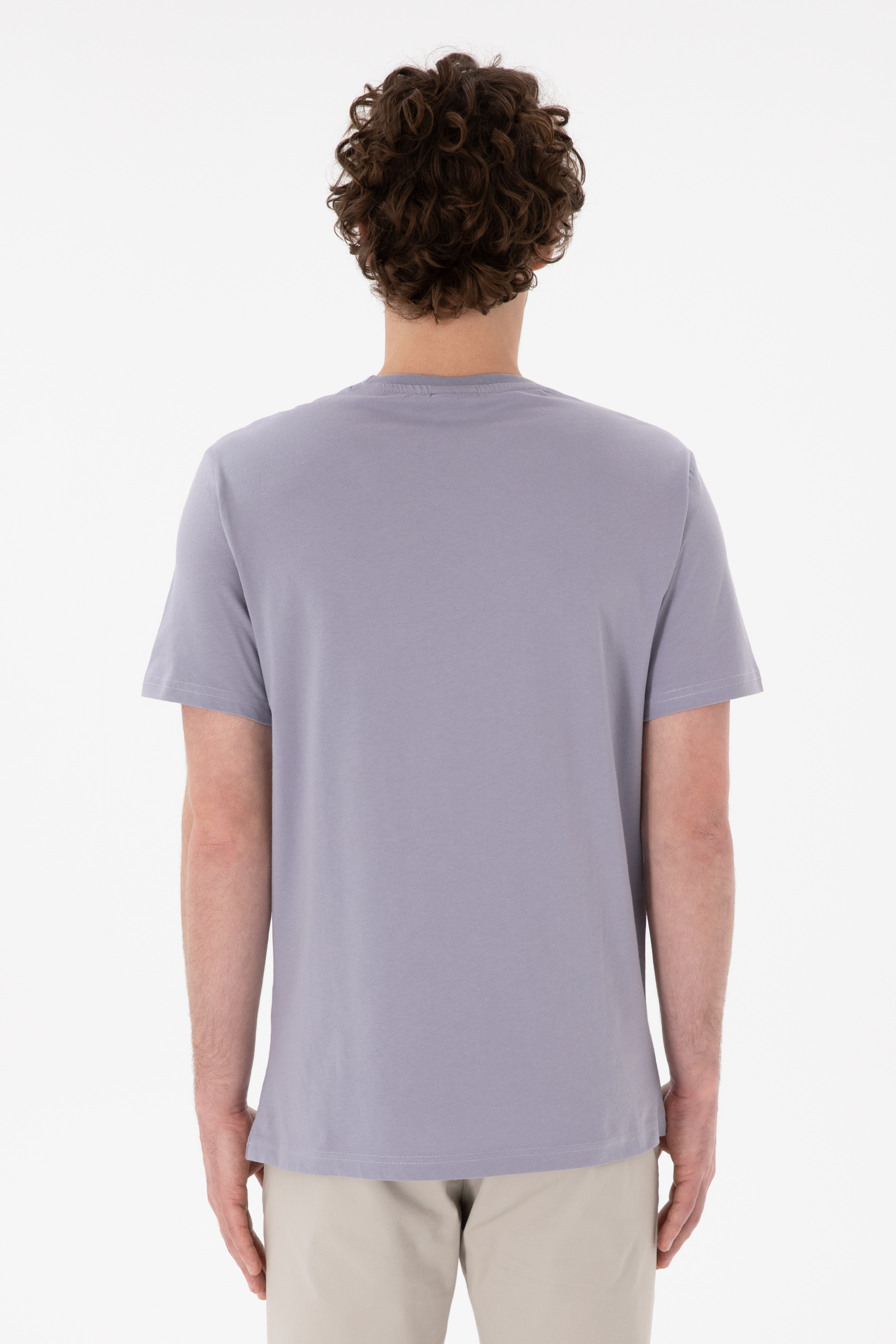 Erkek Regular Fit Bisiklet Yaka Gri Basic Tişört