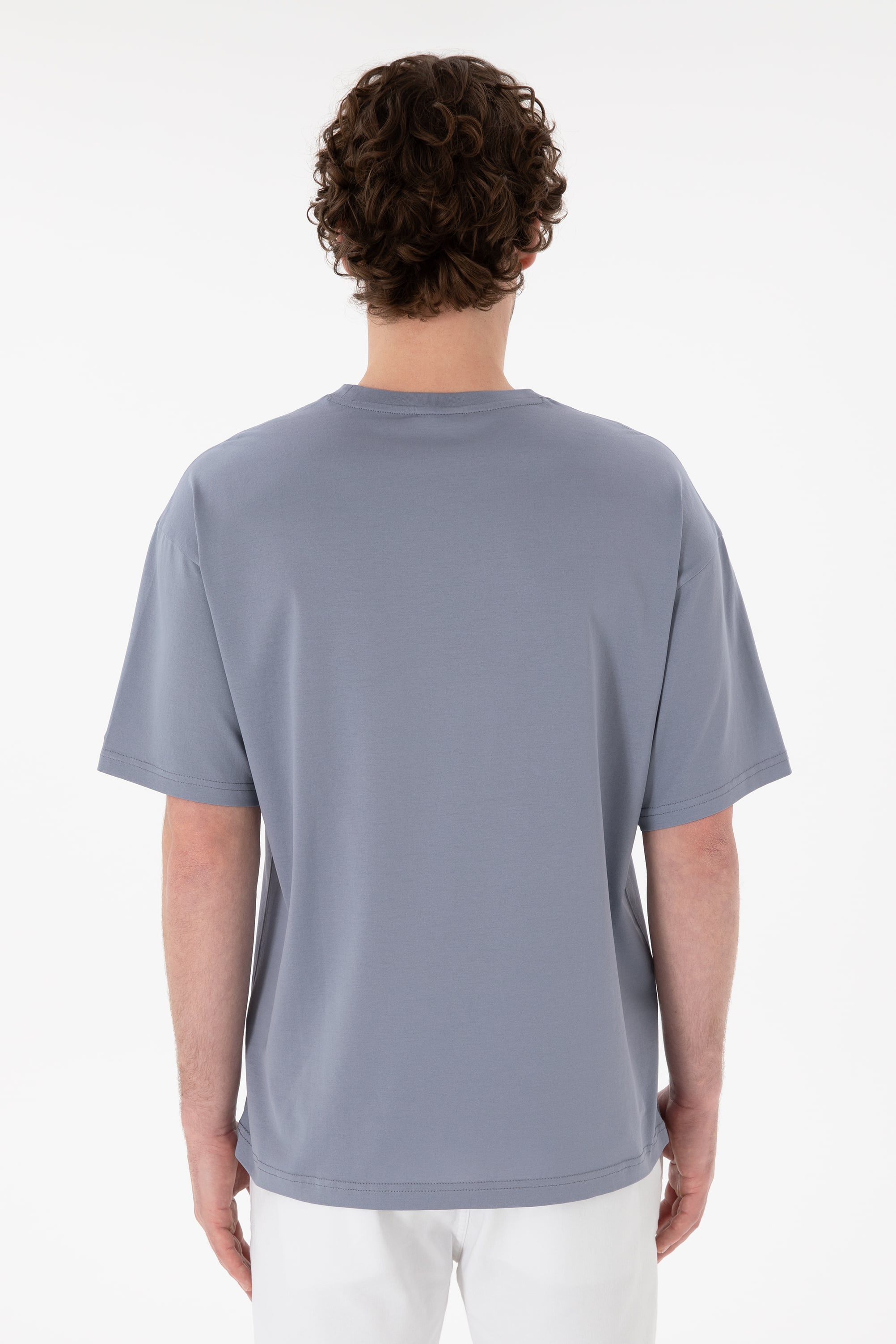 تی شرت یقه گرد آستین کوتاه ریلکس یقه گرد مردانه یو اس پولو | U.S. Polo Assn. - تصویر 6