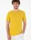 Erkek Regular Fit Bisiklet Yaka Sarı Basic Tişört