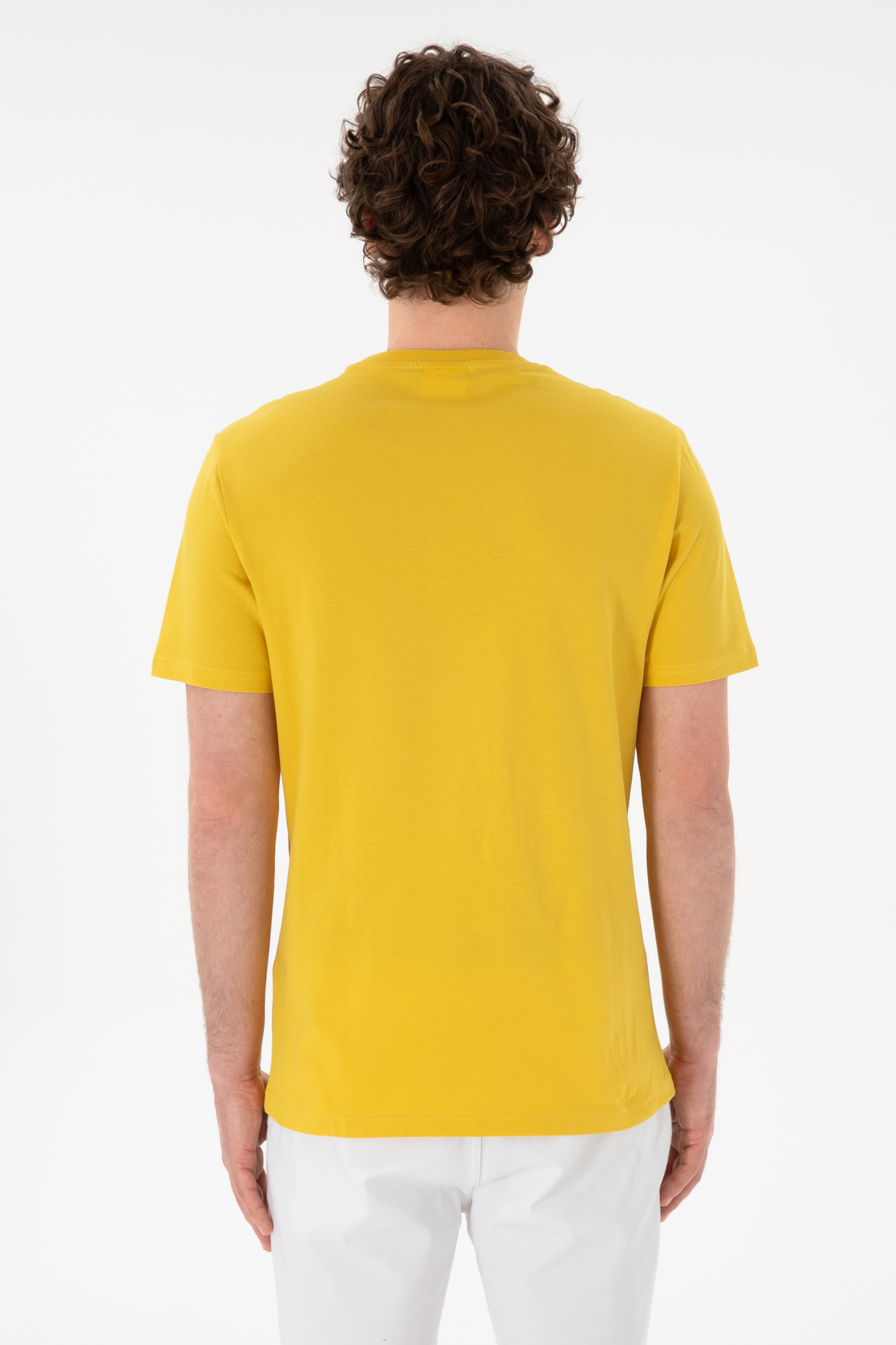 Erkek Regular Fit Bisiklet Yaka Sarı Basic Tişört - Image 6