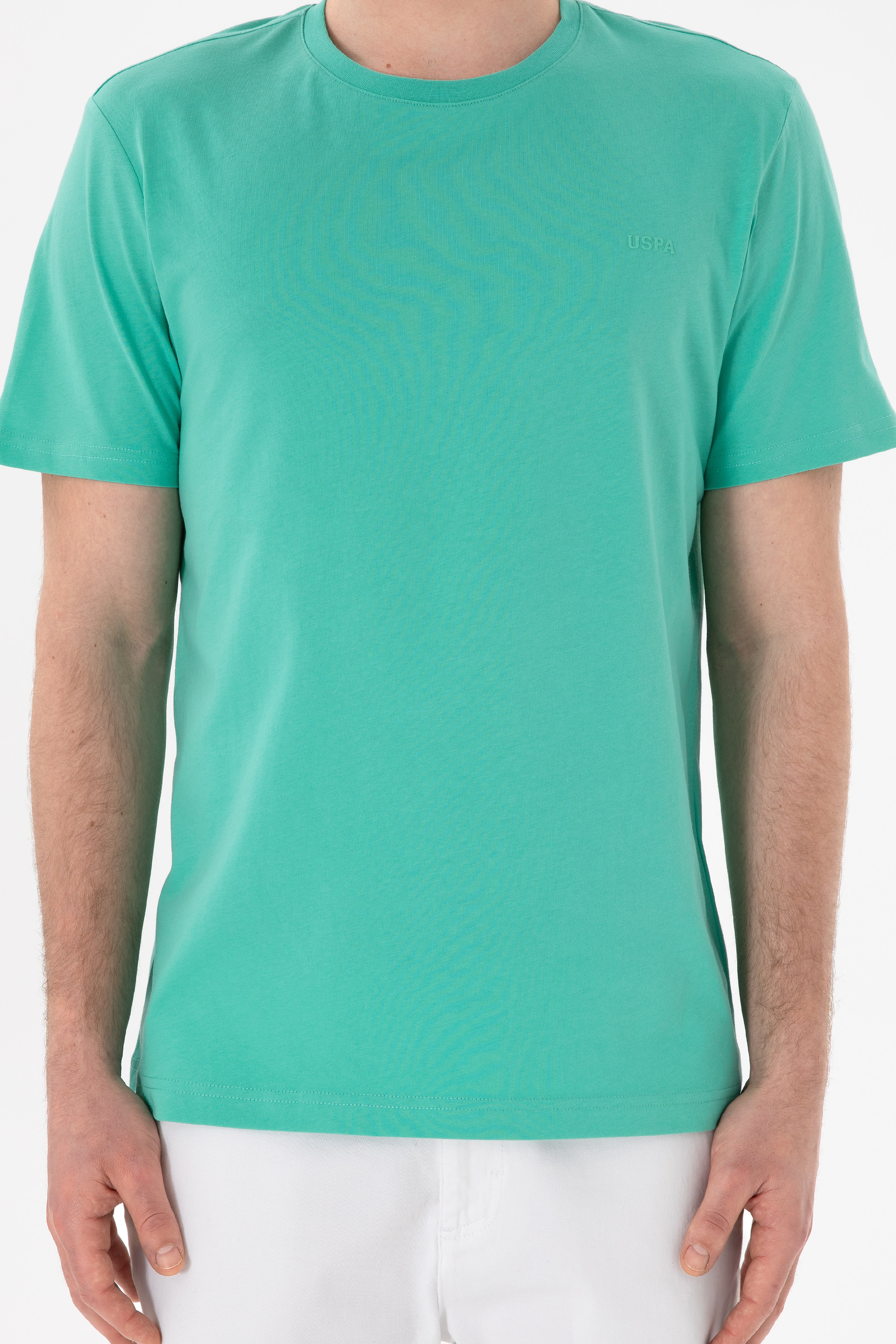 Erkek Regular Fit Bisiklet Yaka Mint Basic Tişört - Image 7