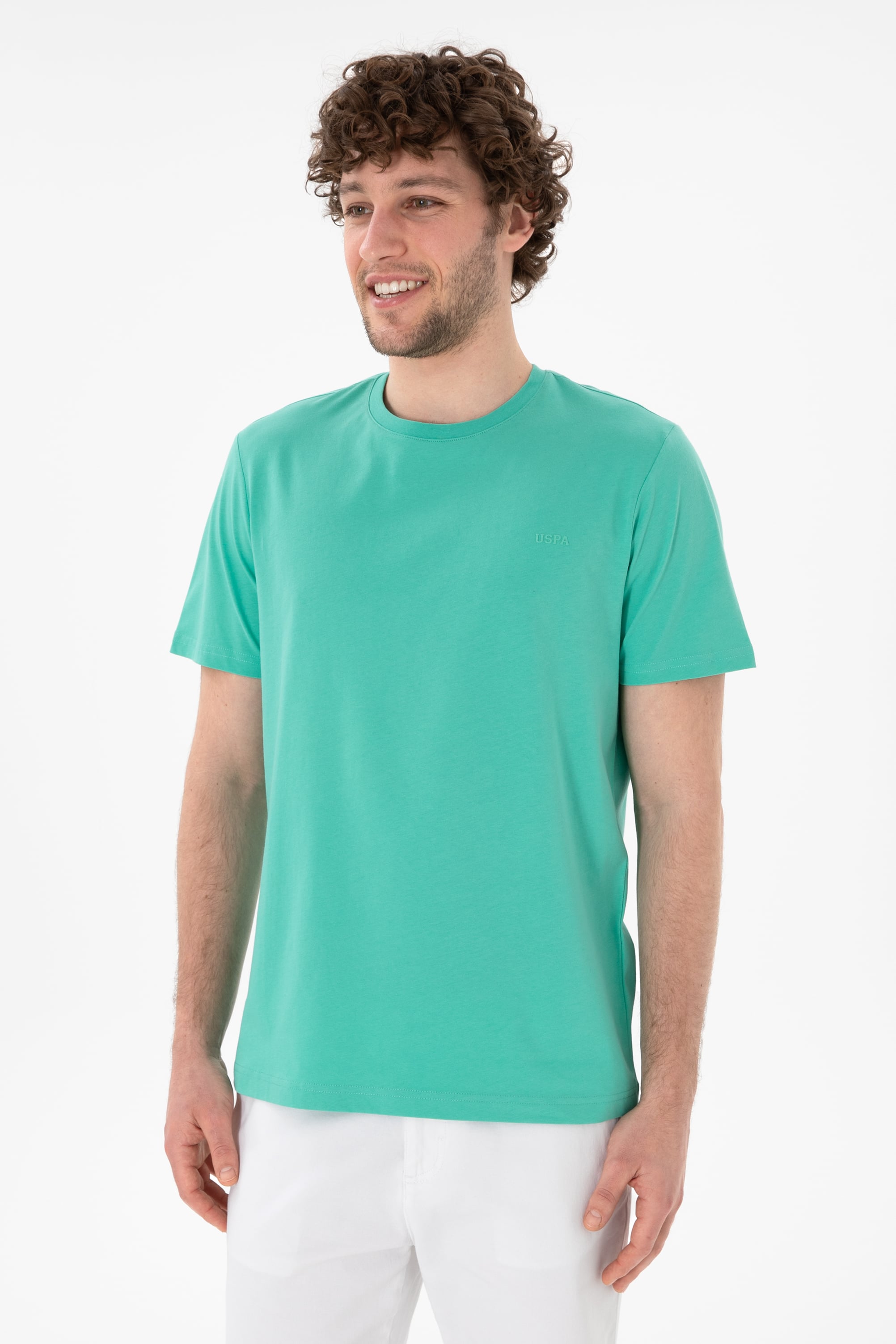 Erkek Regular Fit Bisiklet Yaka Mint Basic Tişört - Image 2