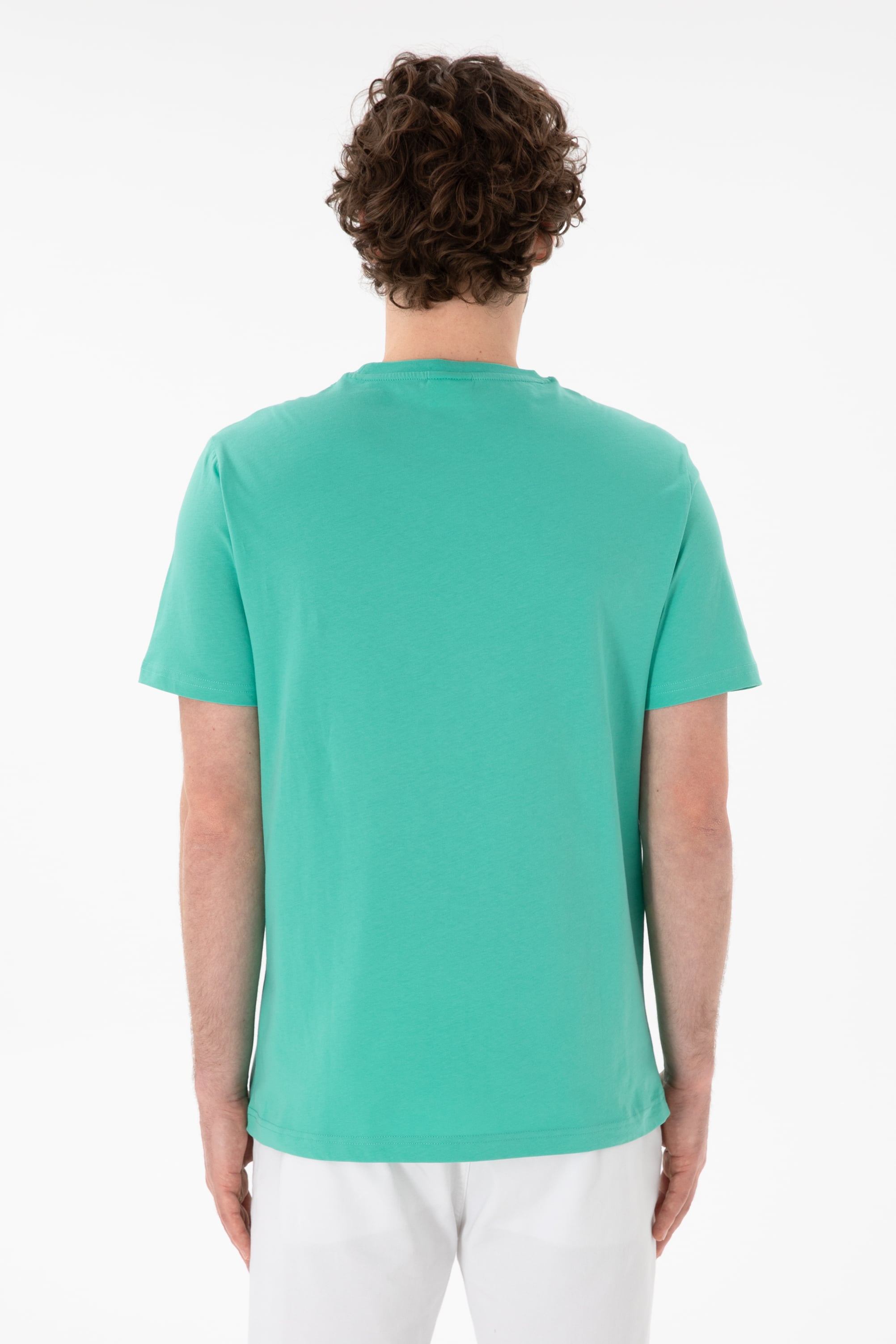 Erkek Regular Fit Bisiklet Yaka Mint Basic Tişört - Image 6