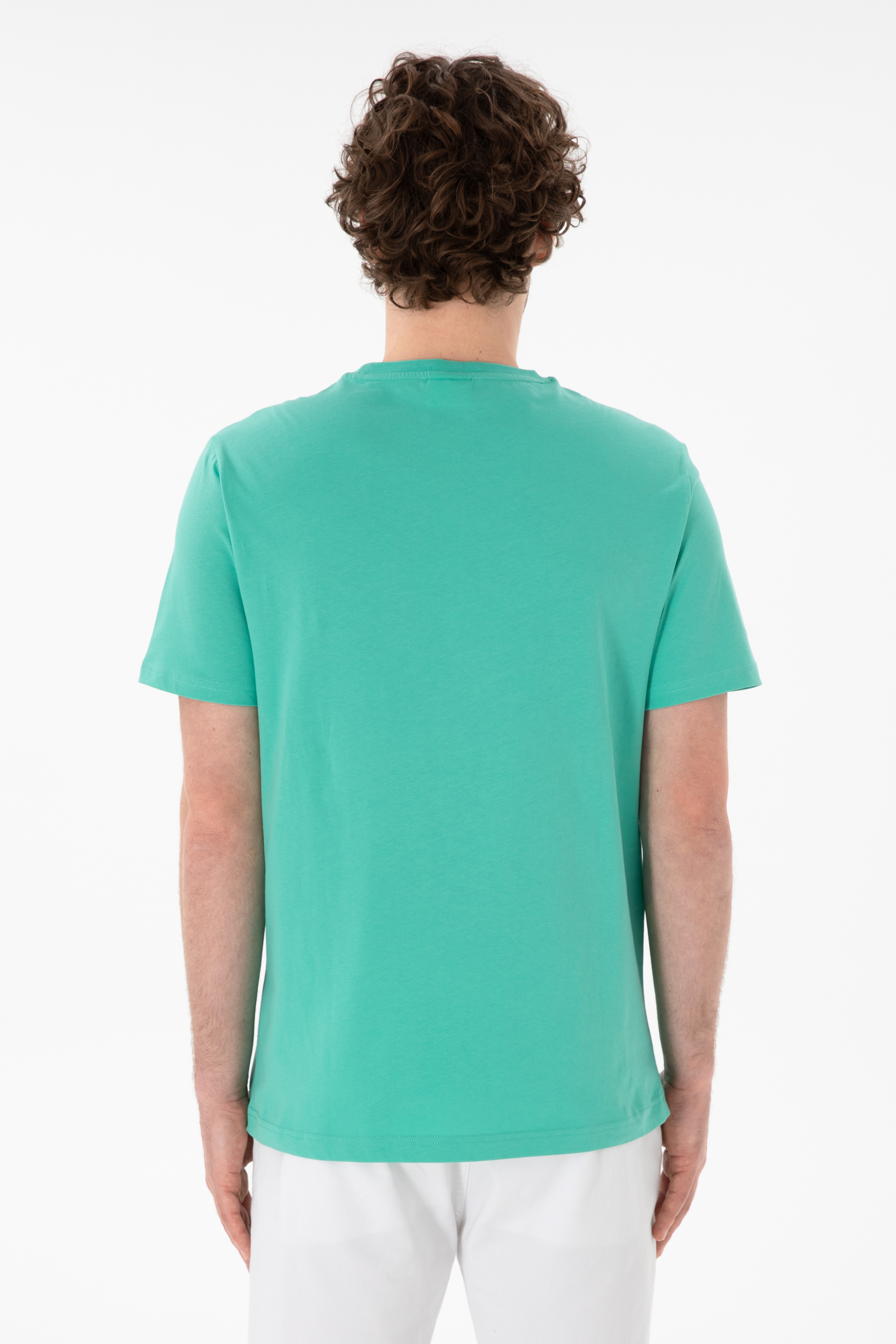 Erkek Regular Fit Bisiklet Yaka Mint Basic Tişört