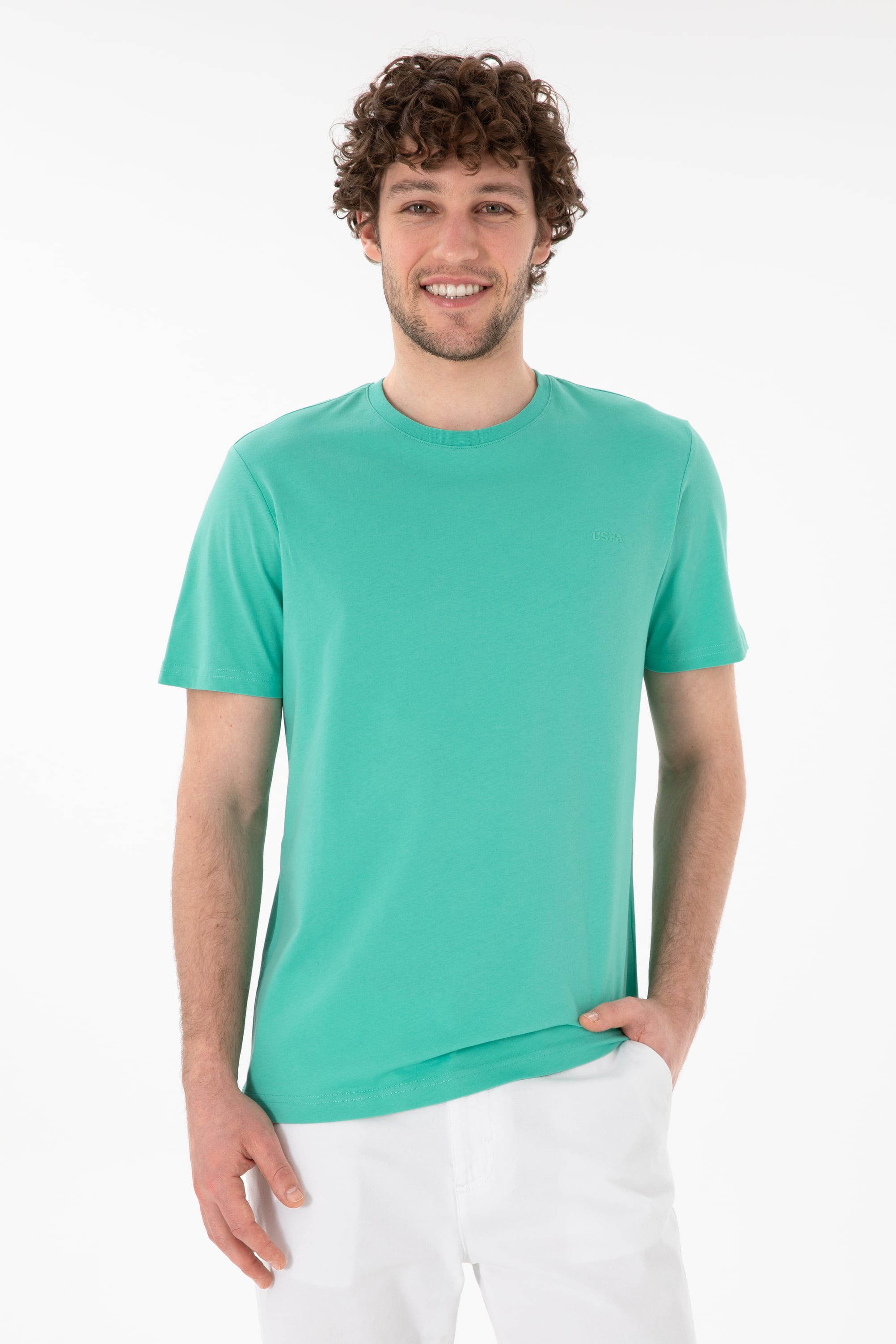 Erkek Regular Fit Bisiklet Yaka Mint Basic Tişört