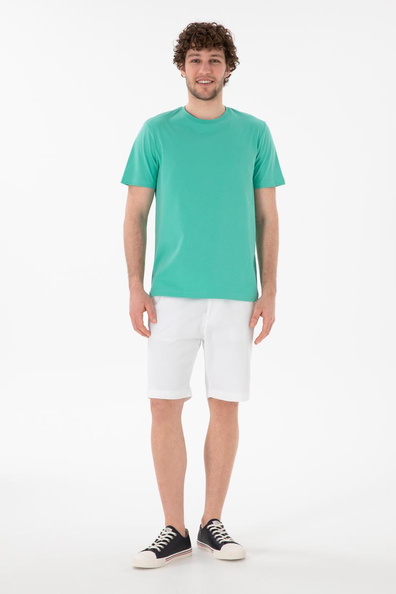 Erkek Regular Fit Bisiklet Yaka Mint Basic Tişört - 50305928183
