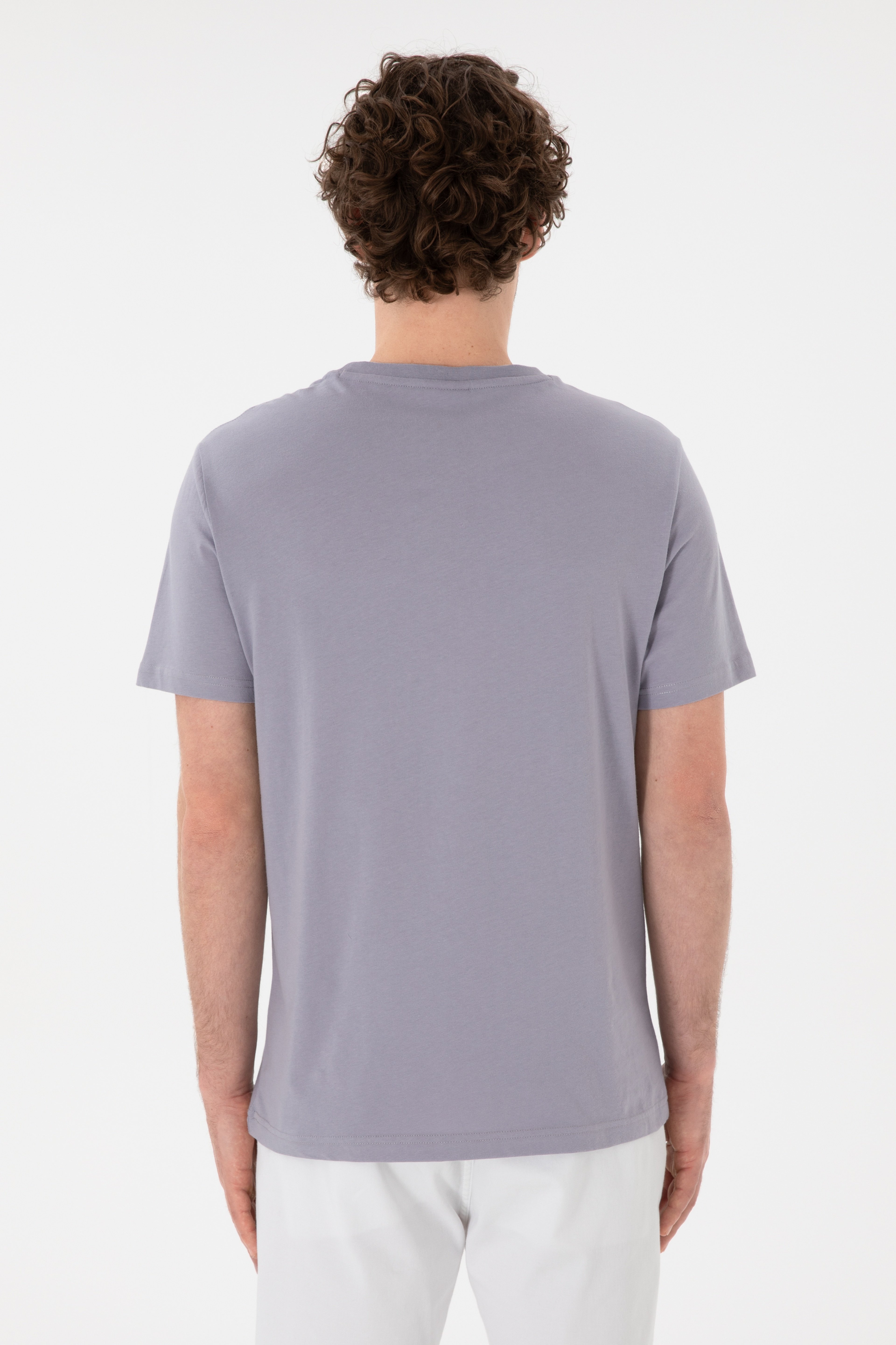 Erkek Regular Fit Bisiklet Yaka Gri Basic Tişört - Image 6