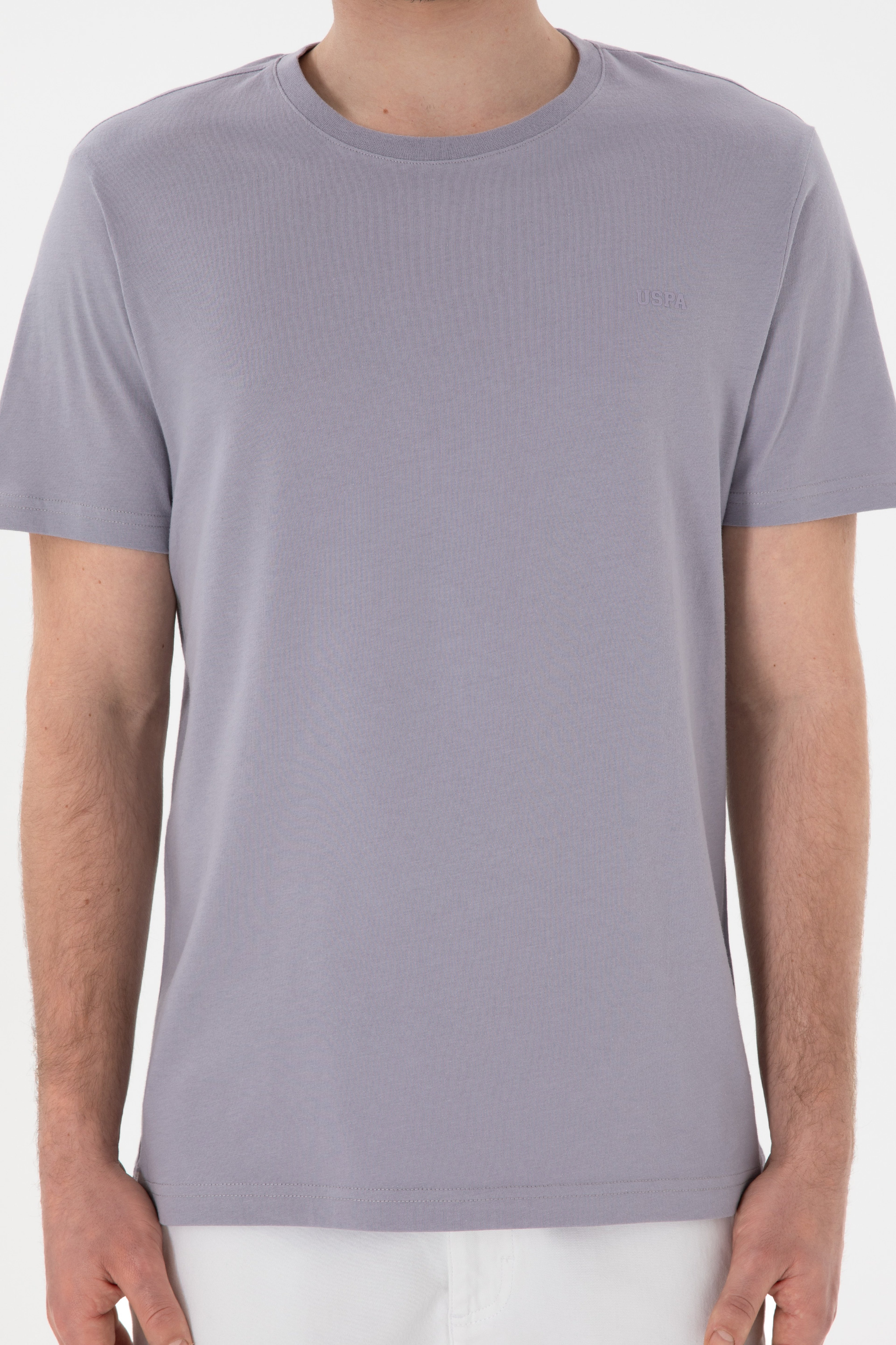 Erkek Regular Fit Bisiklet Yaka Gri Basic Tişört