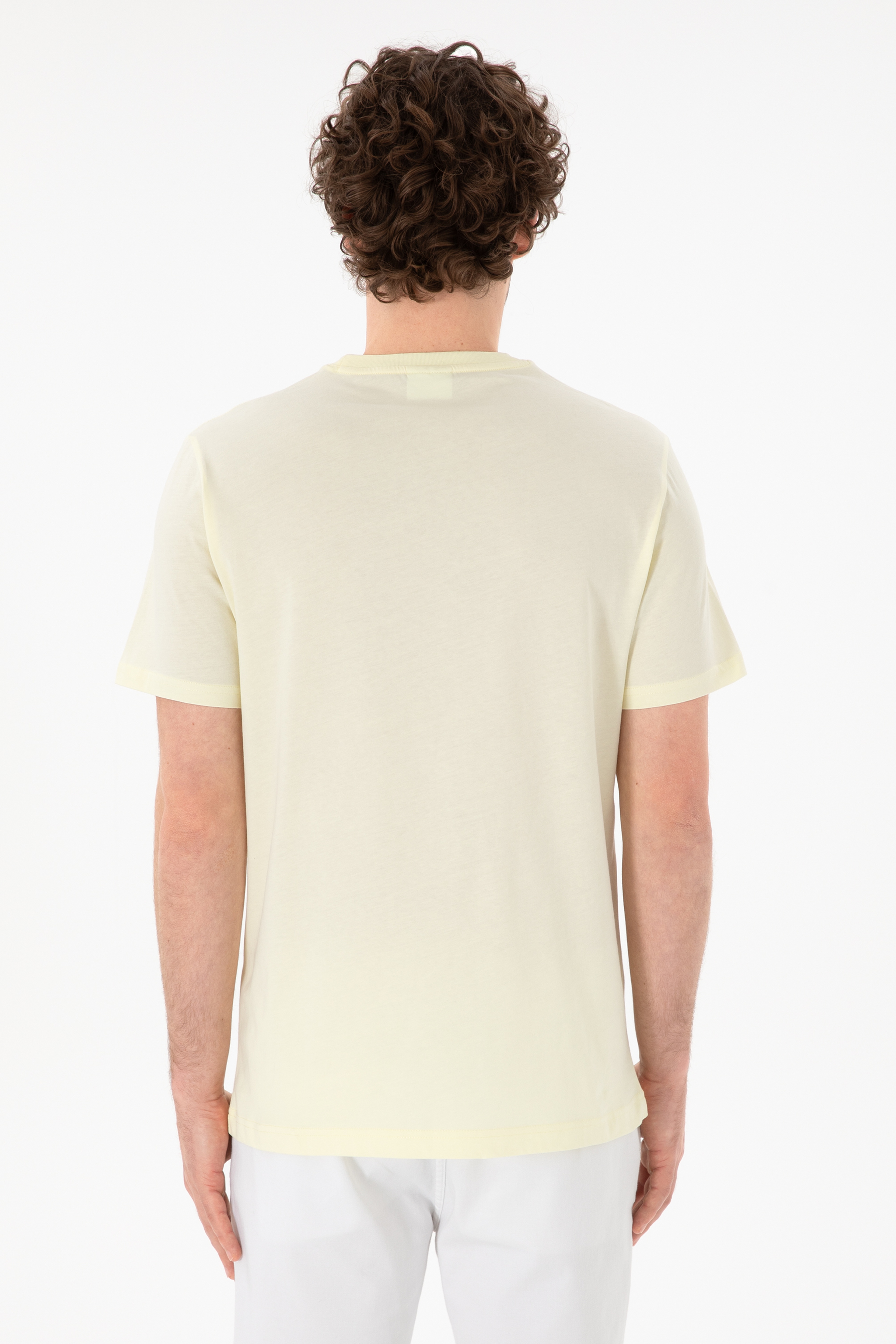 Erkek Regular Fit Bisiklet Yaka Limon Basic Tişört - Image 6